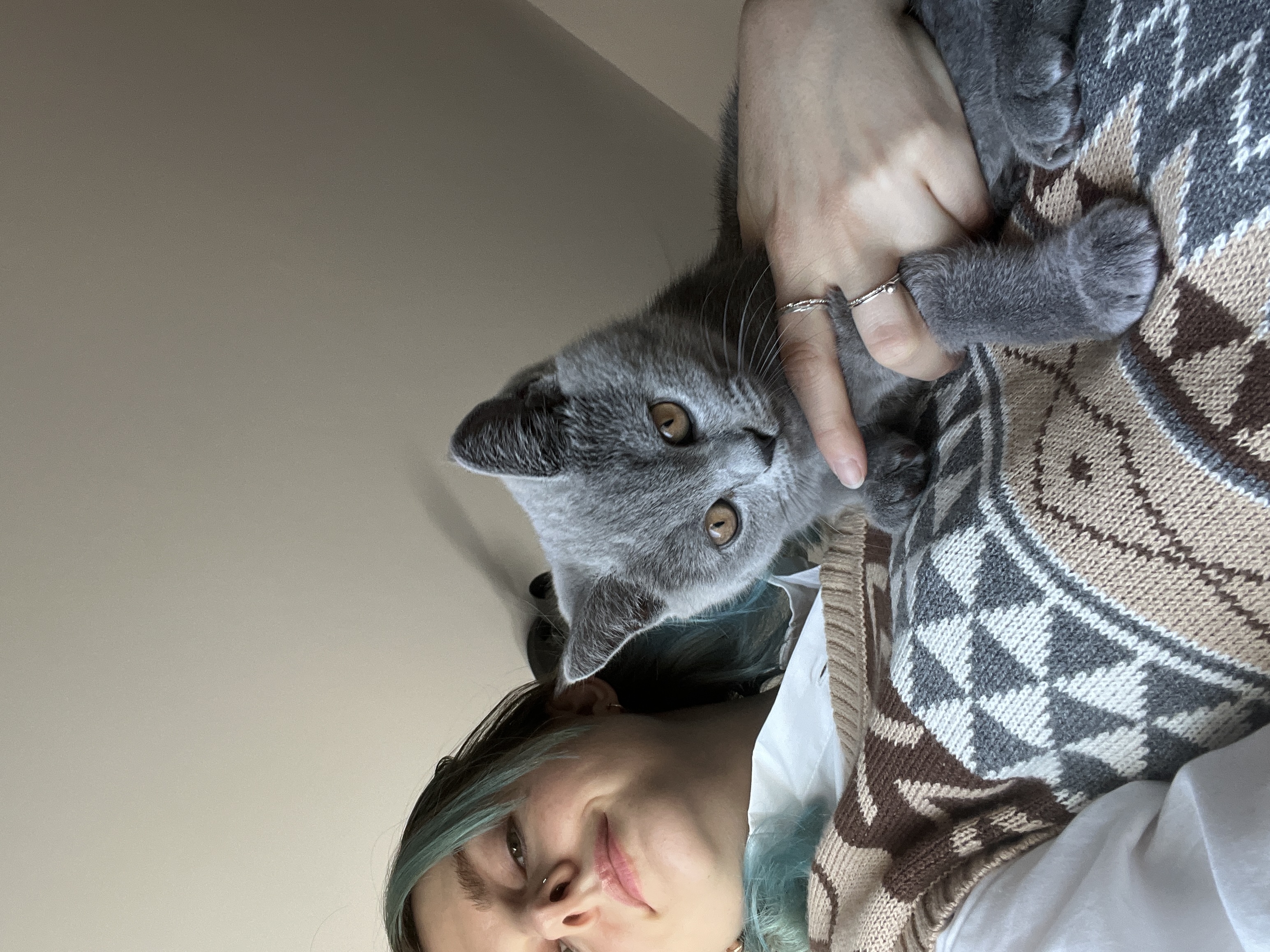 image-6