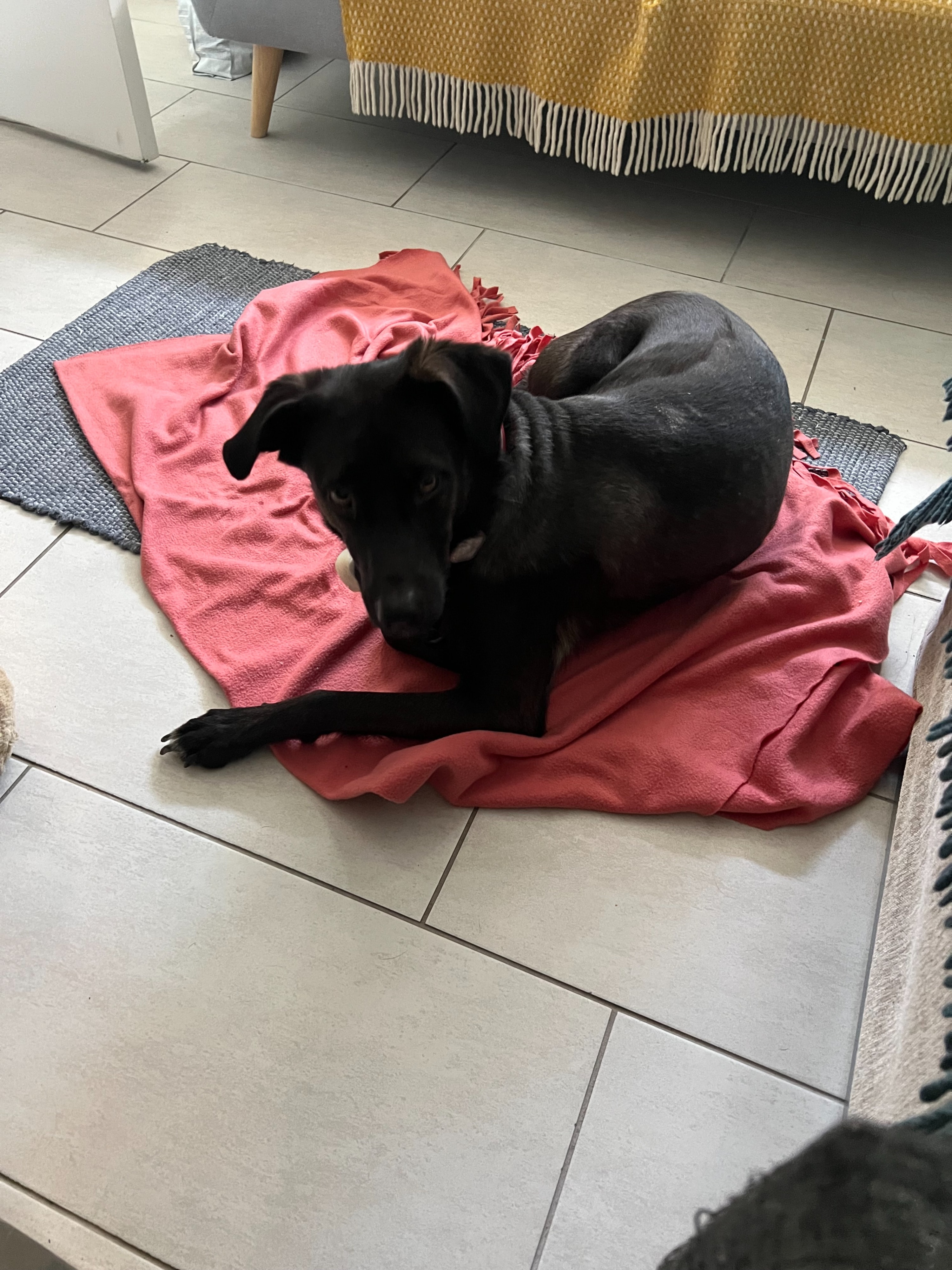 image-12