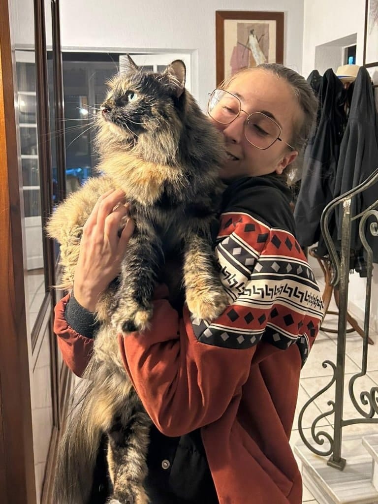 image-6