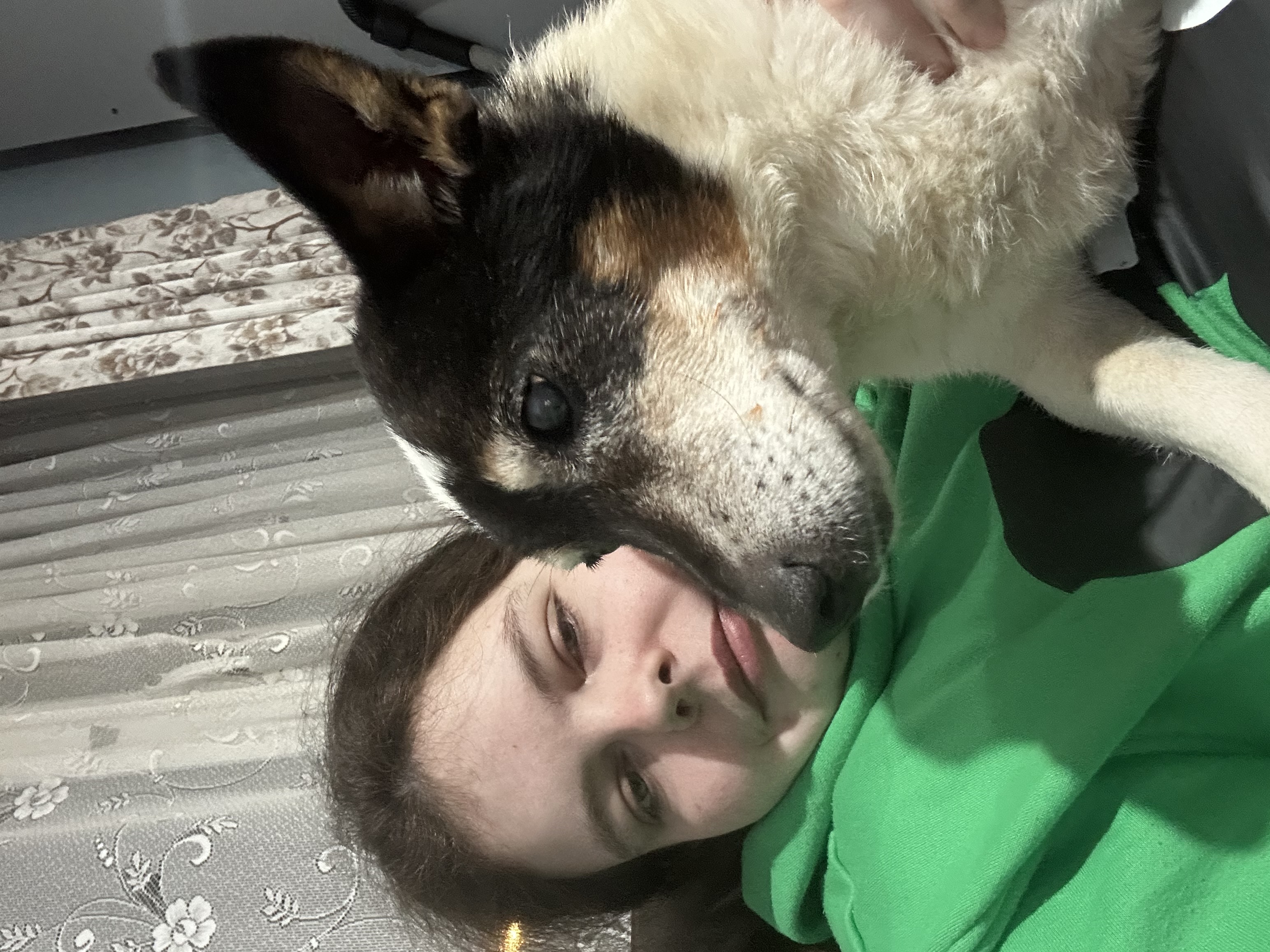 image-2