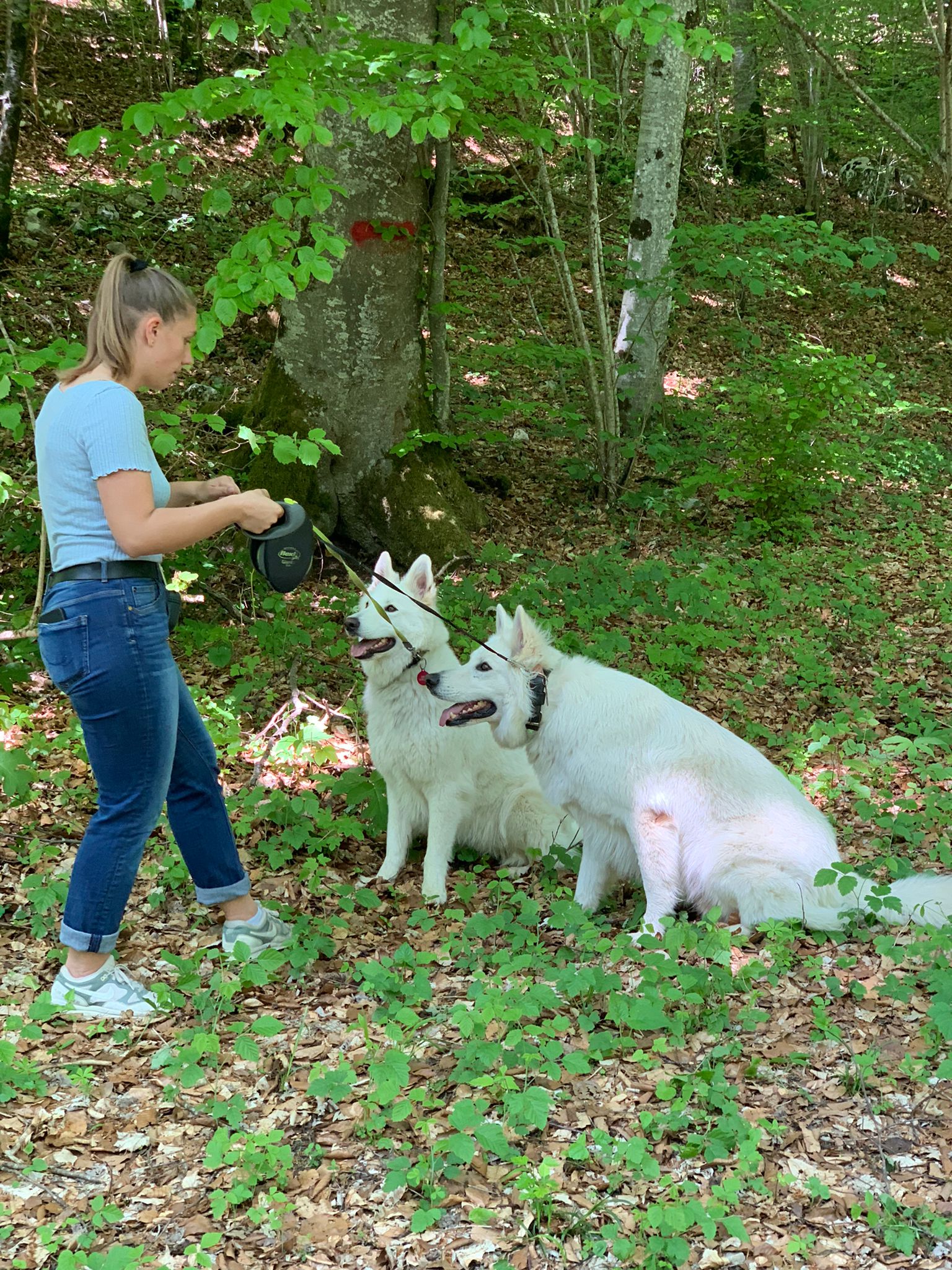 image-13