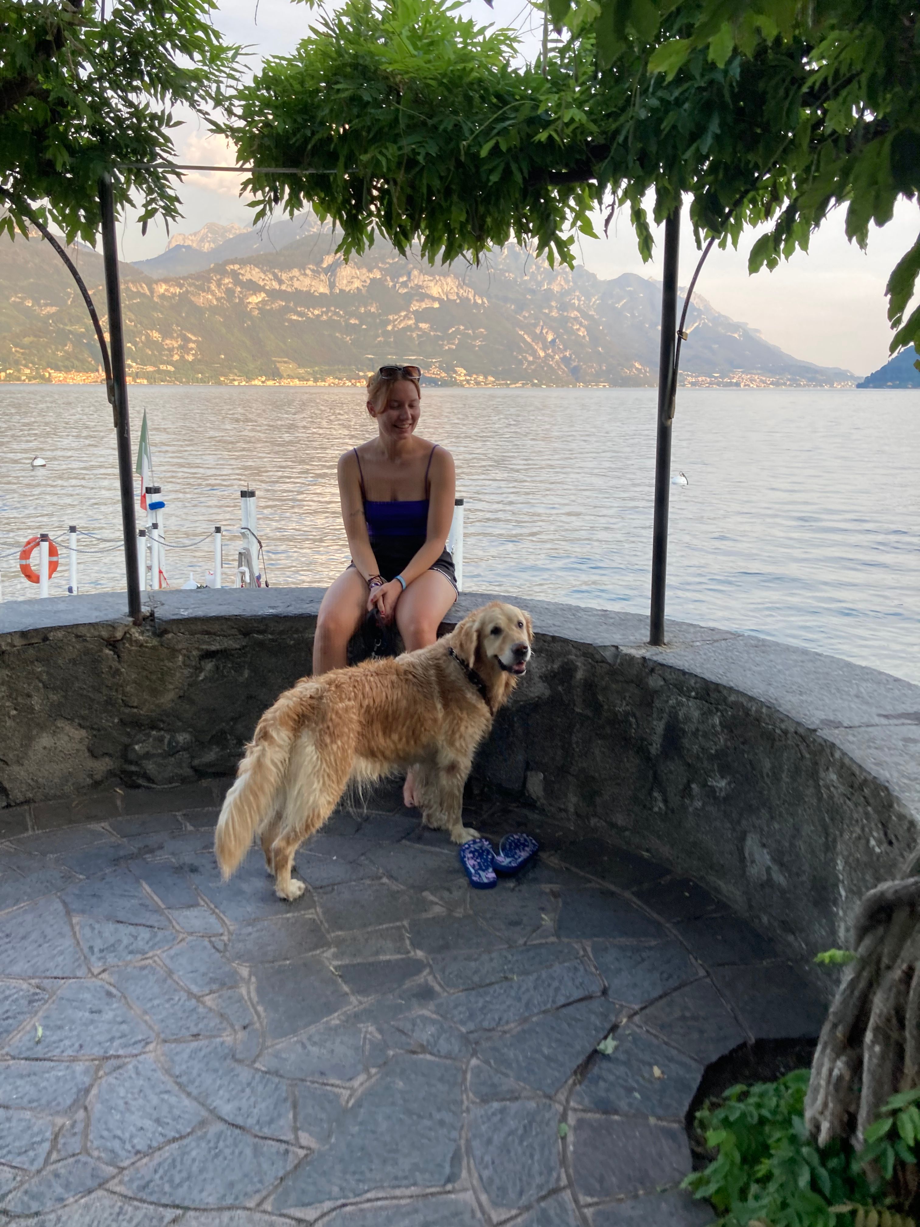 image-6