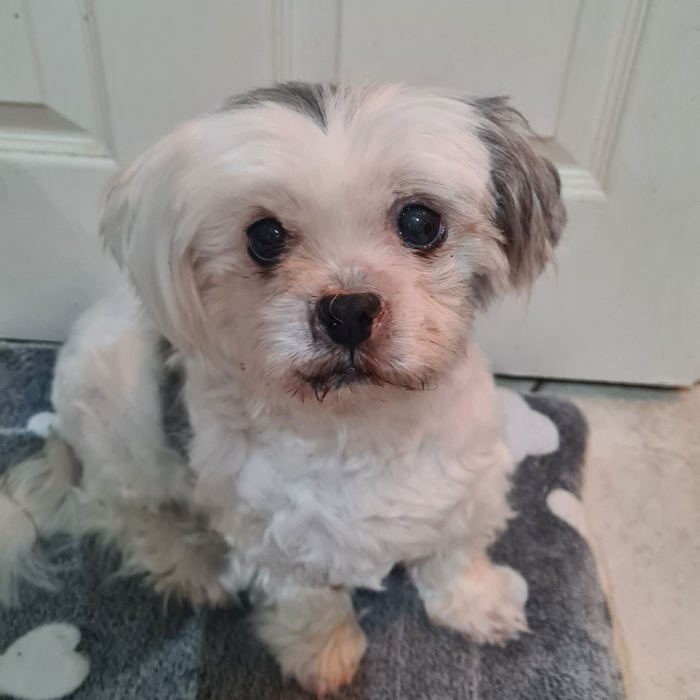 Tina