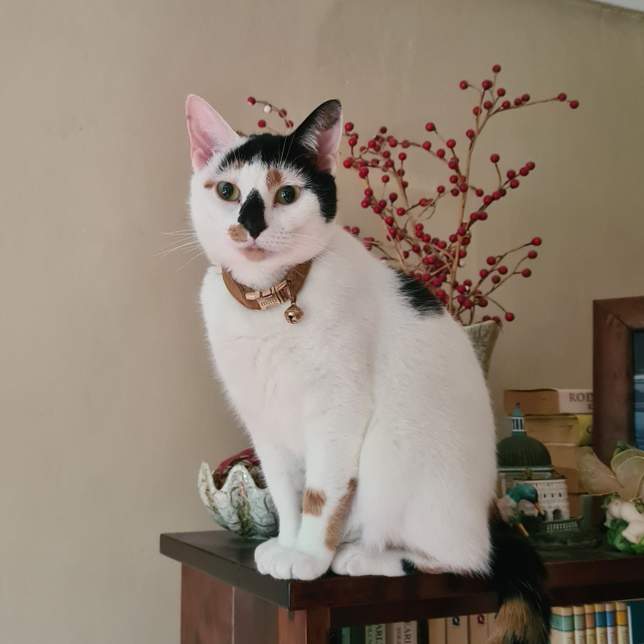 Milo