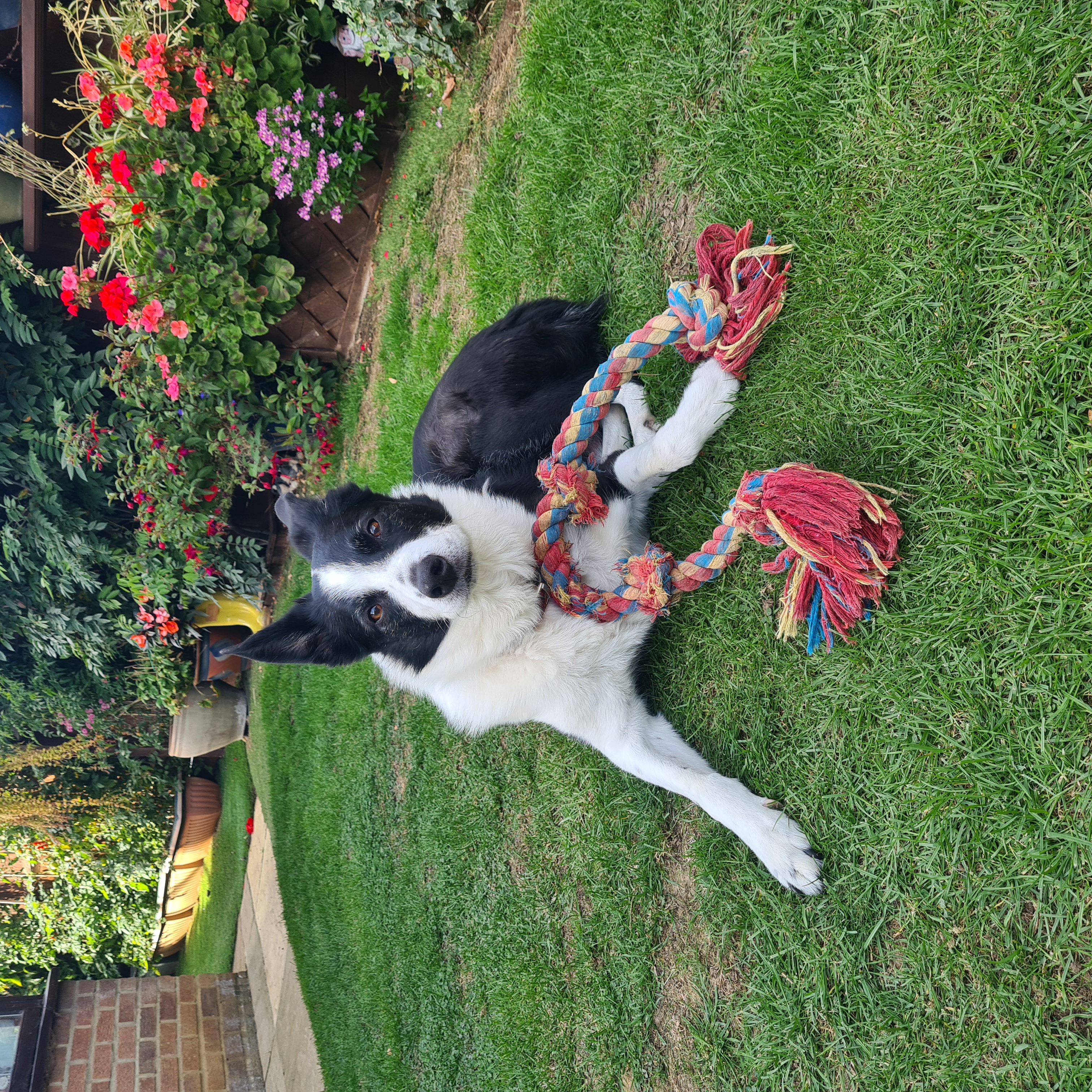 image-24