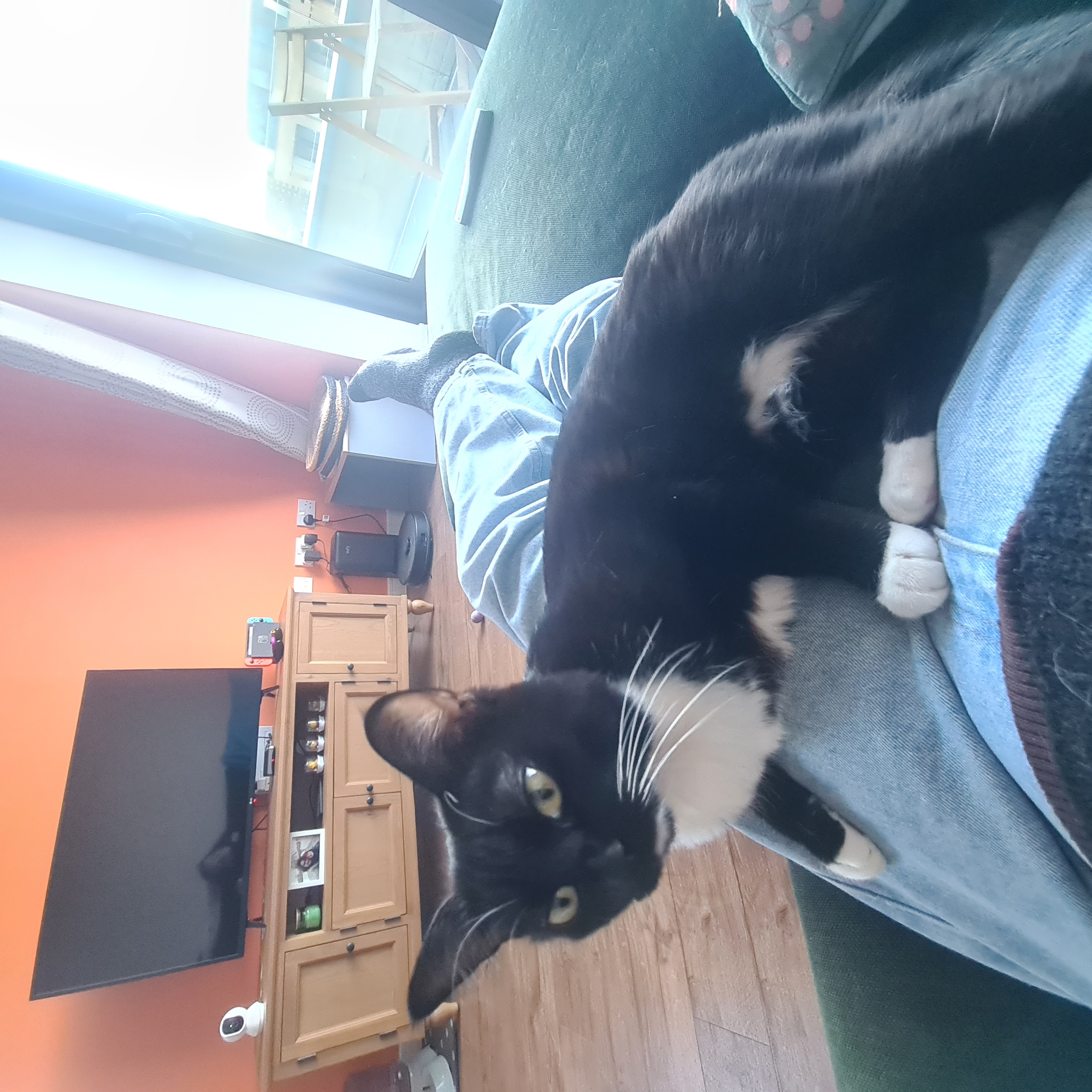 image-9
