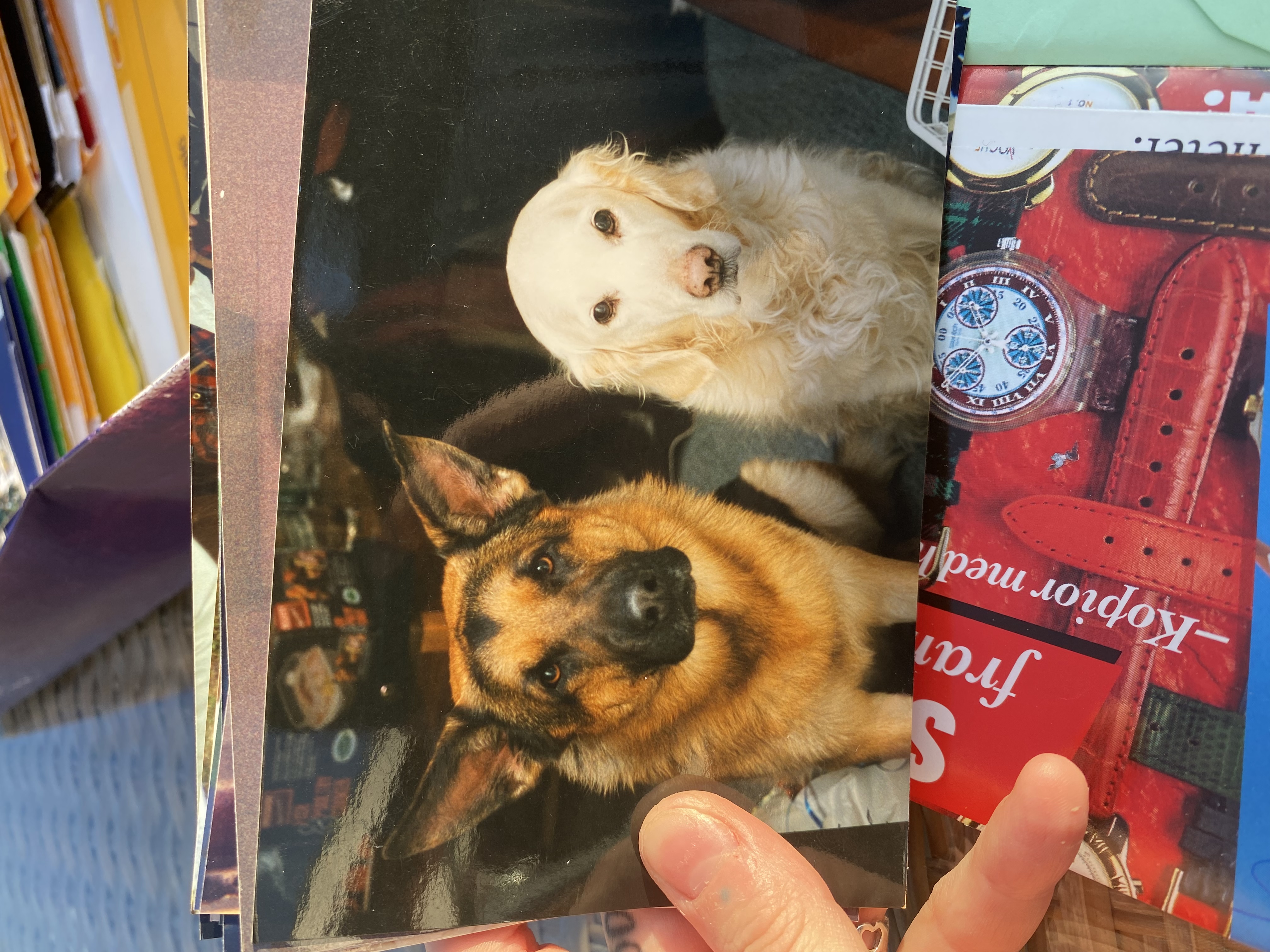 image-2