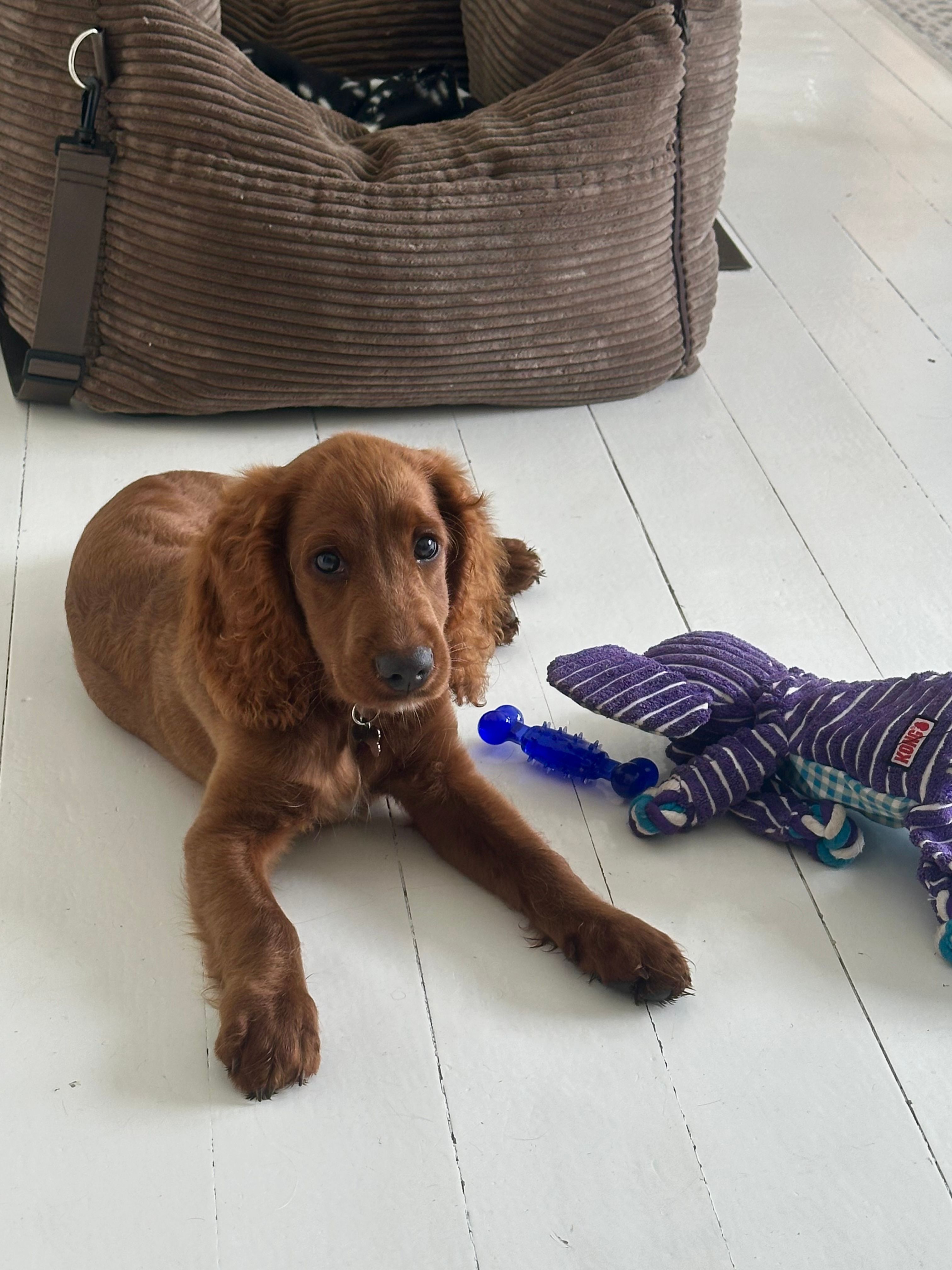 image-24