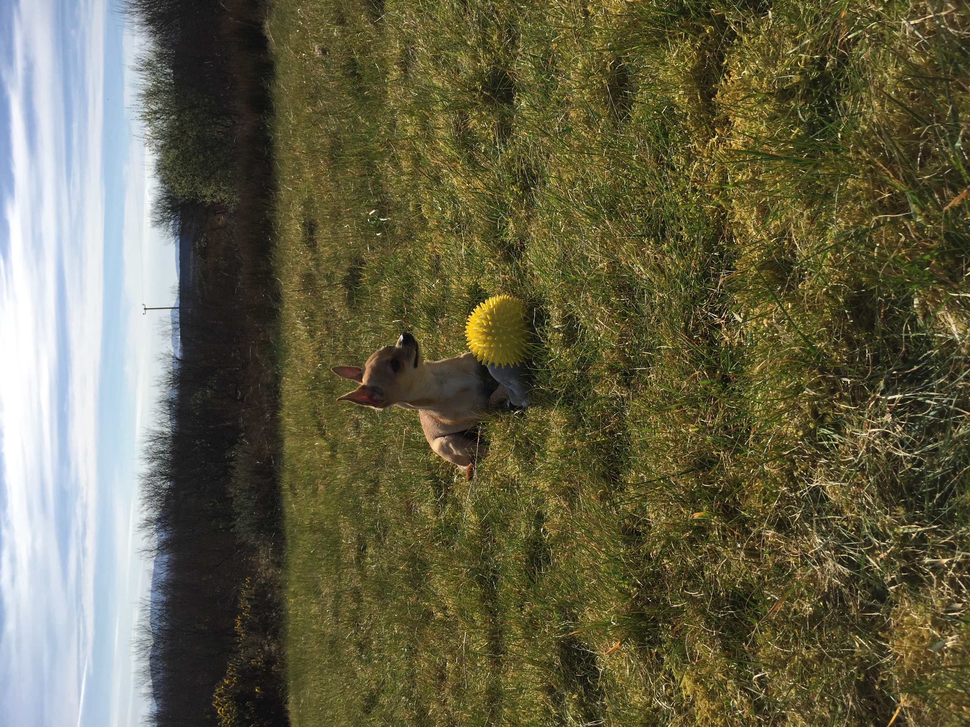 image-8