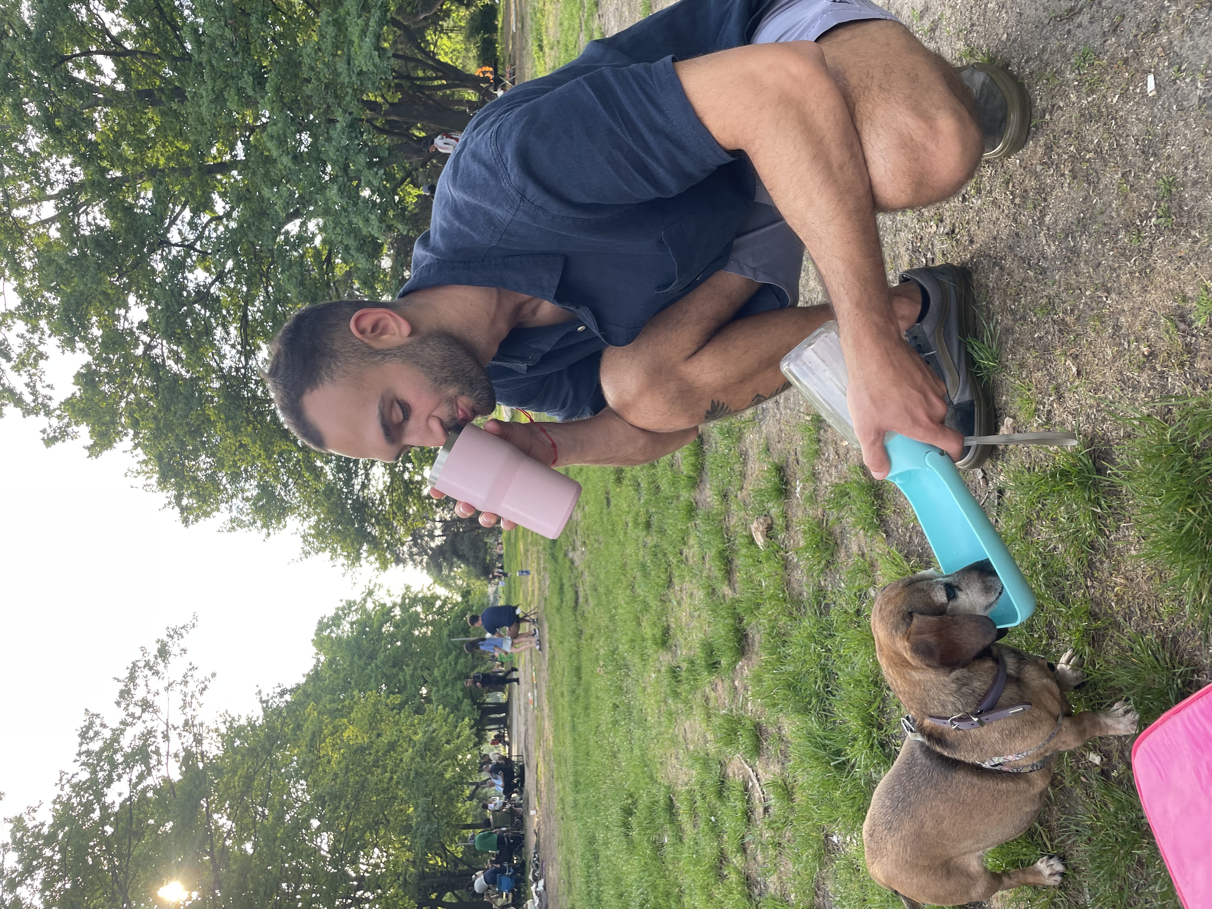 image-20