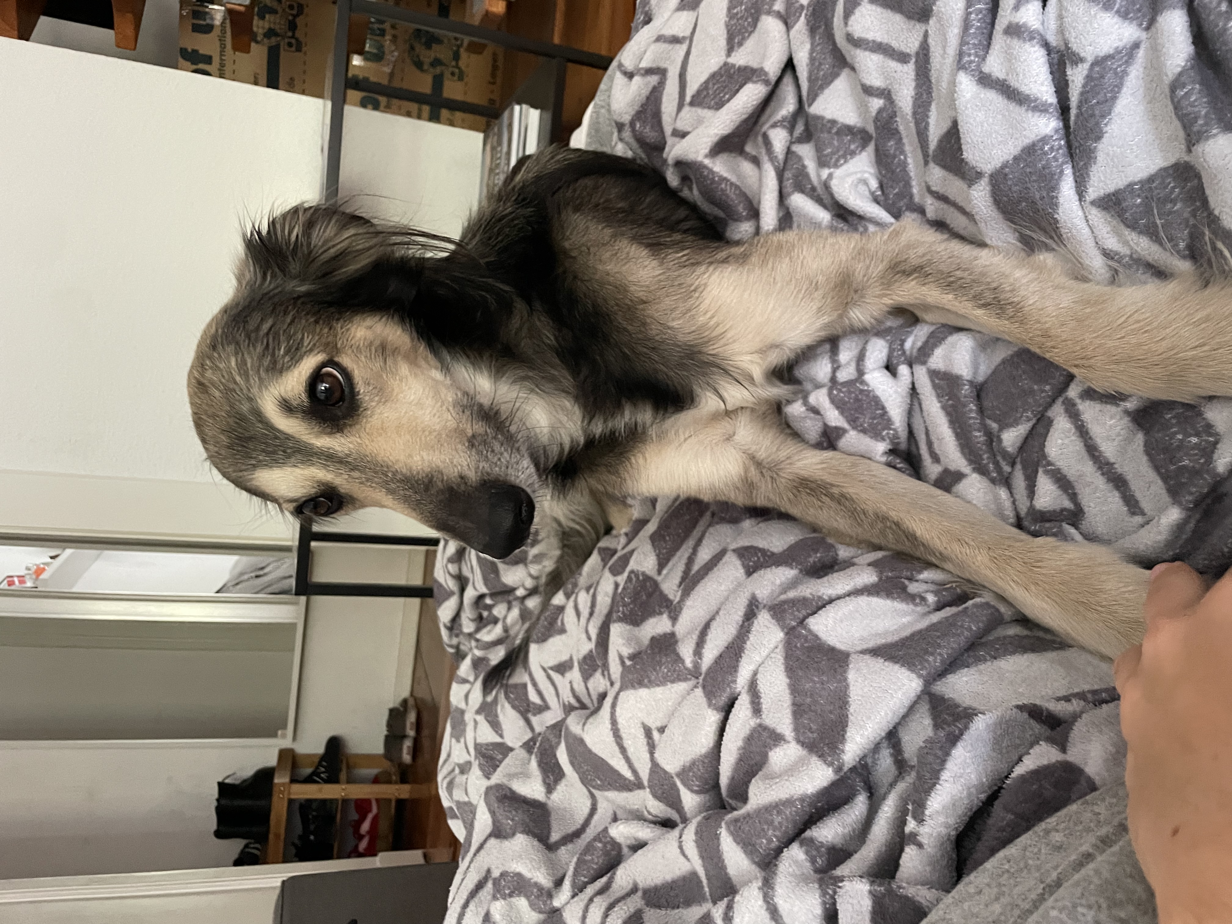 image-8
