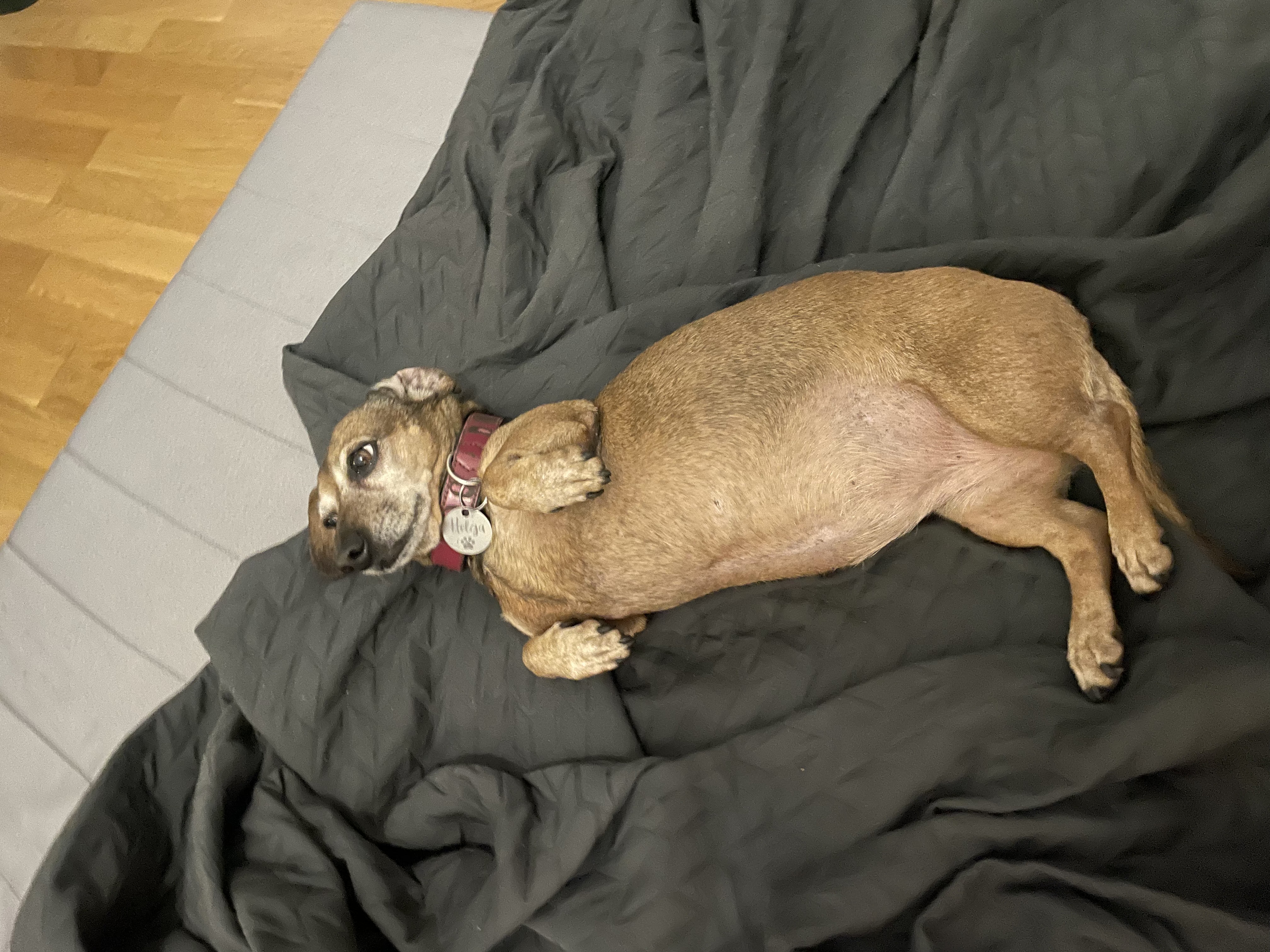 image-9