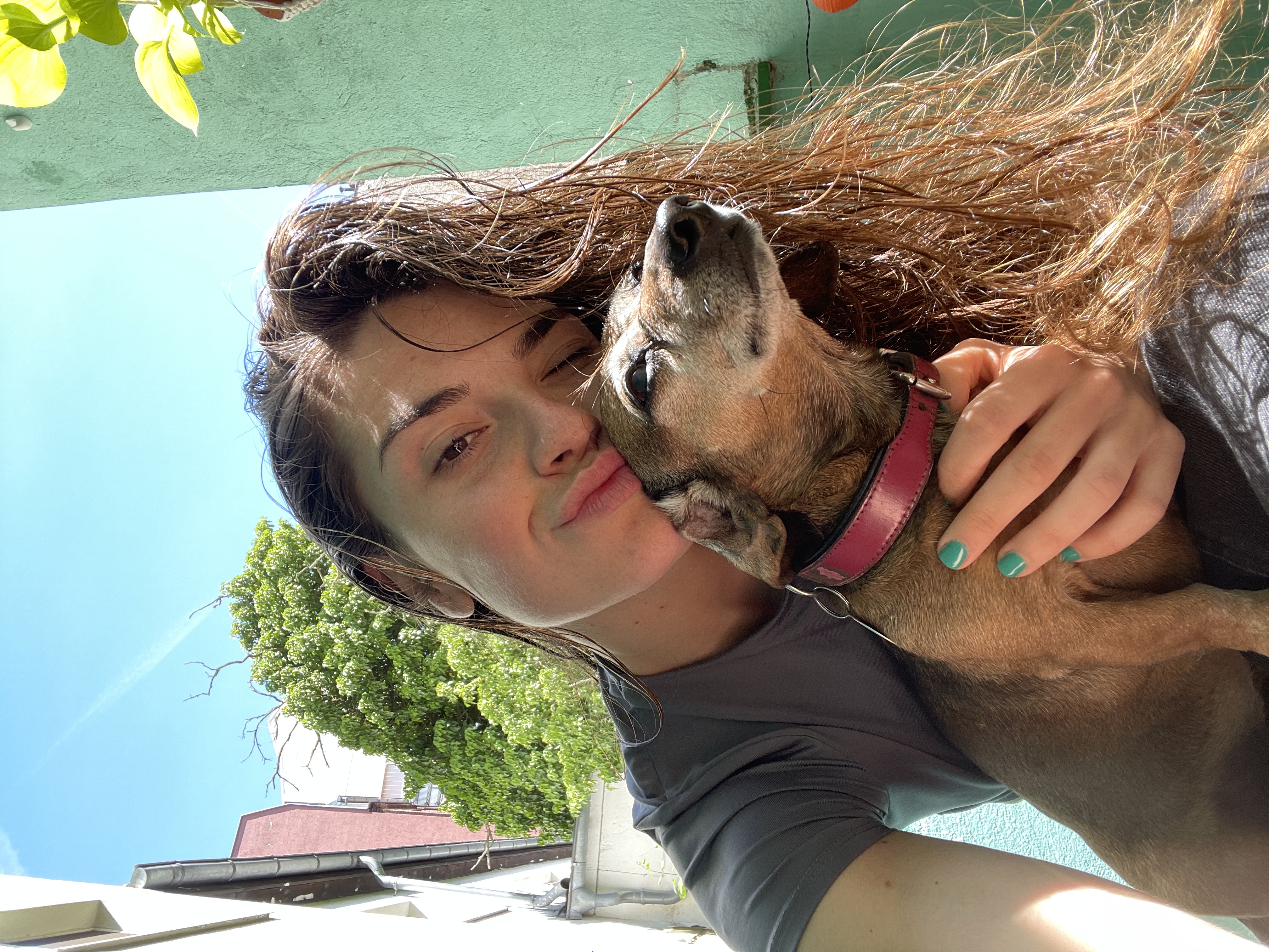 image-5