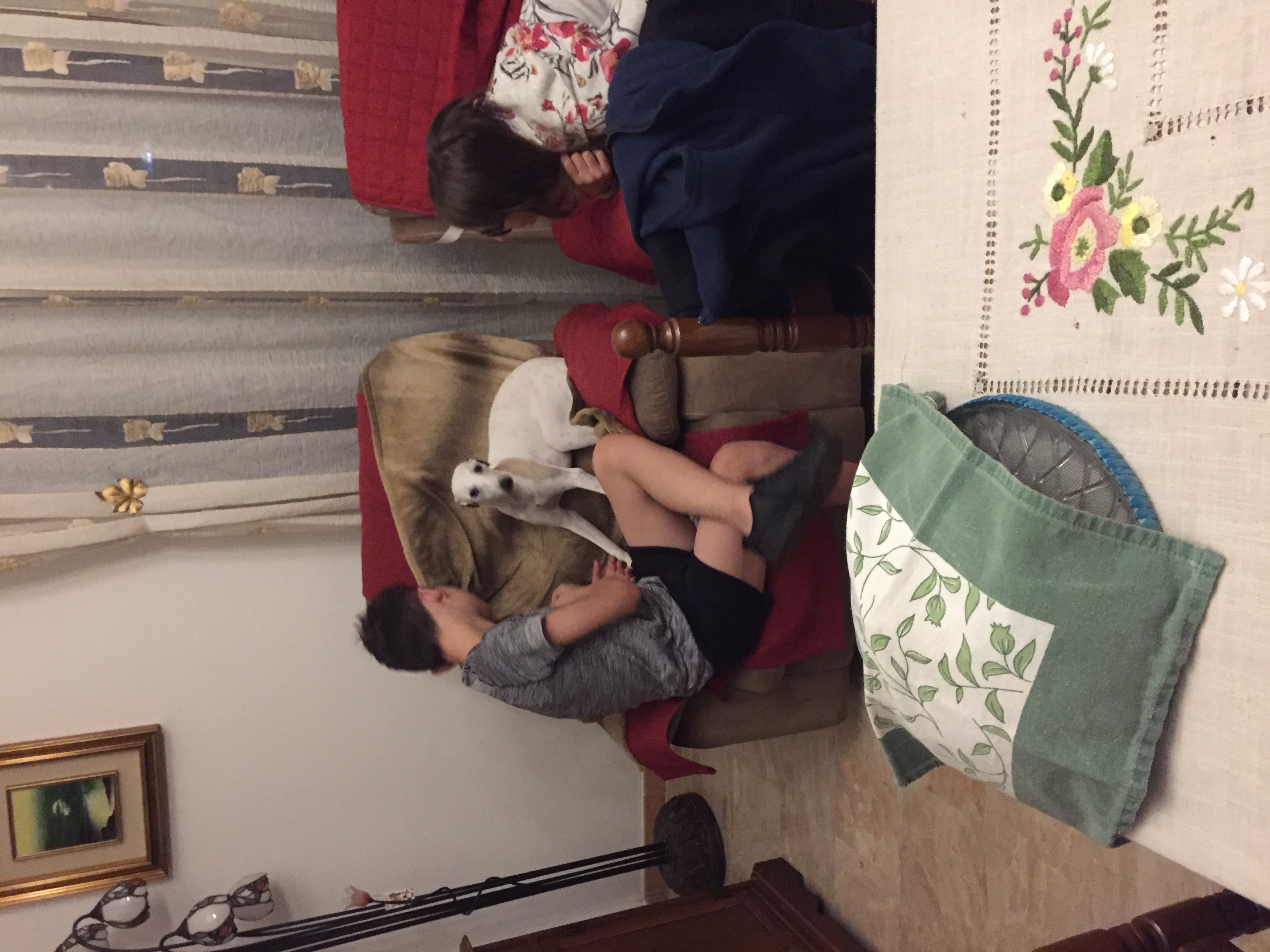 image-7
