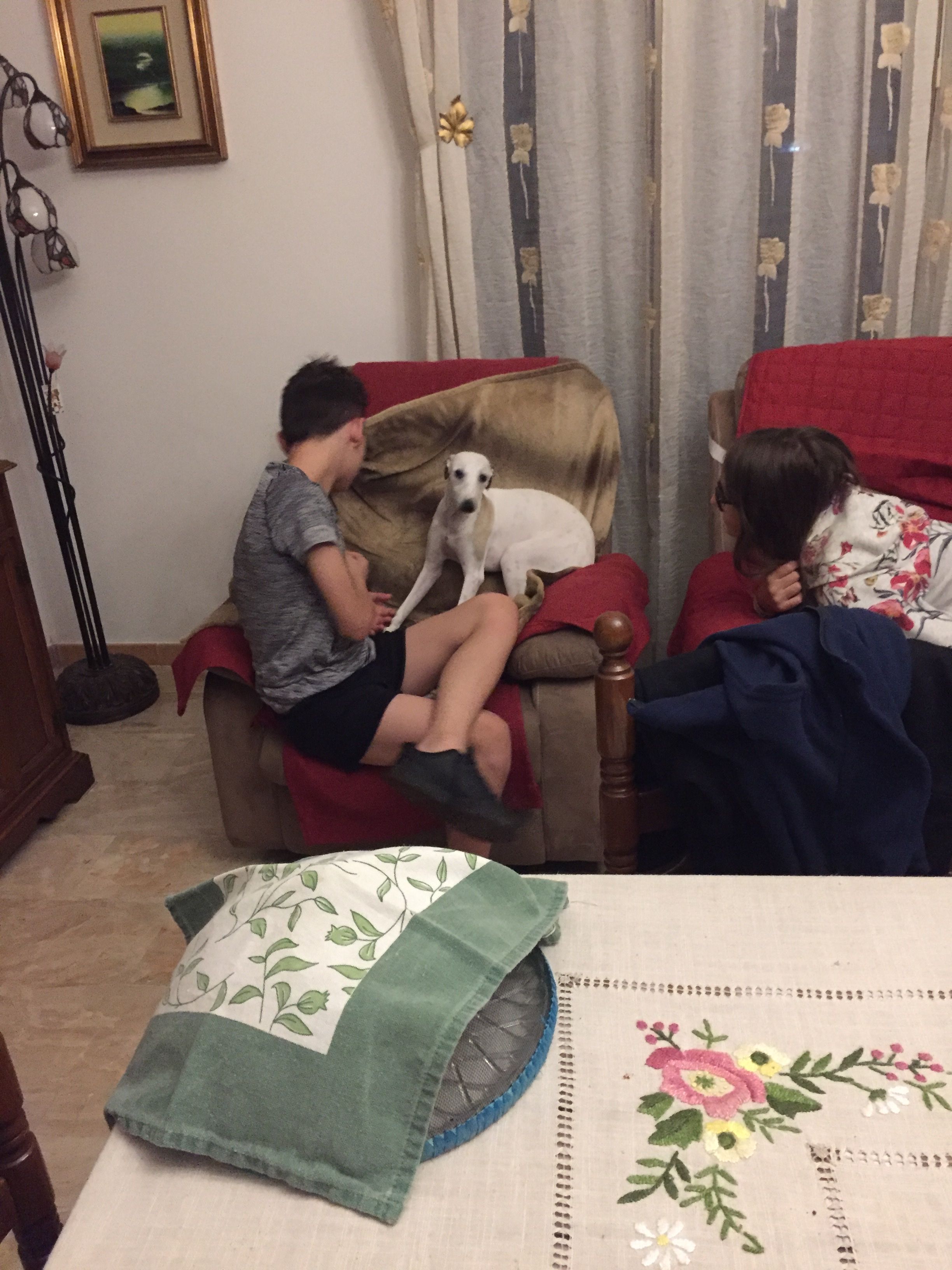 image-7