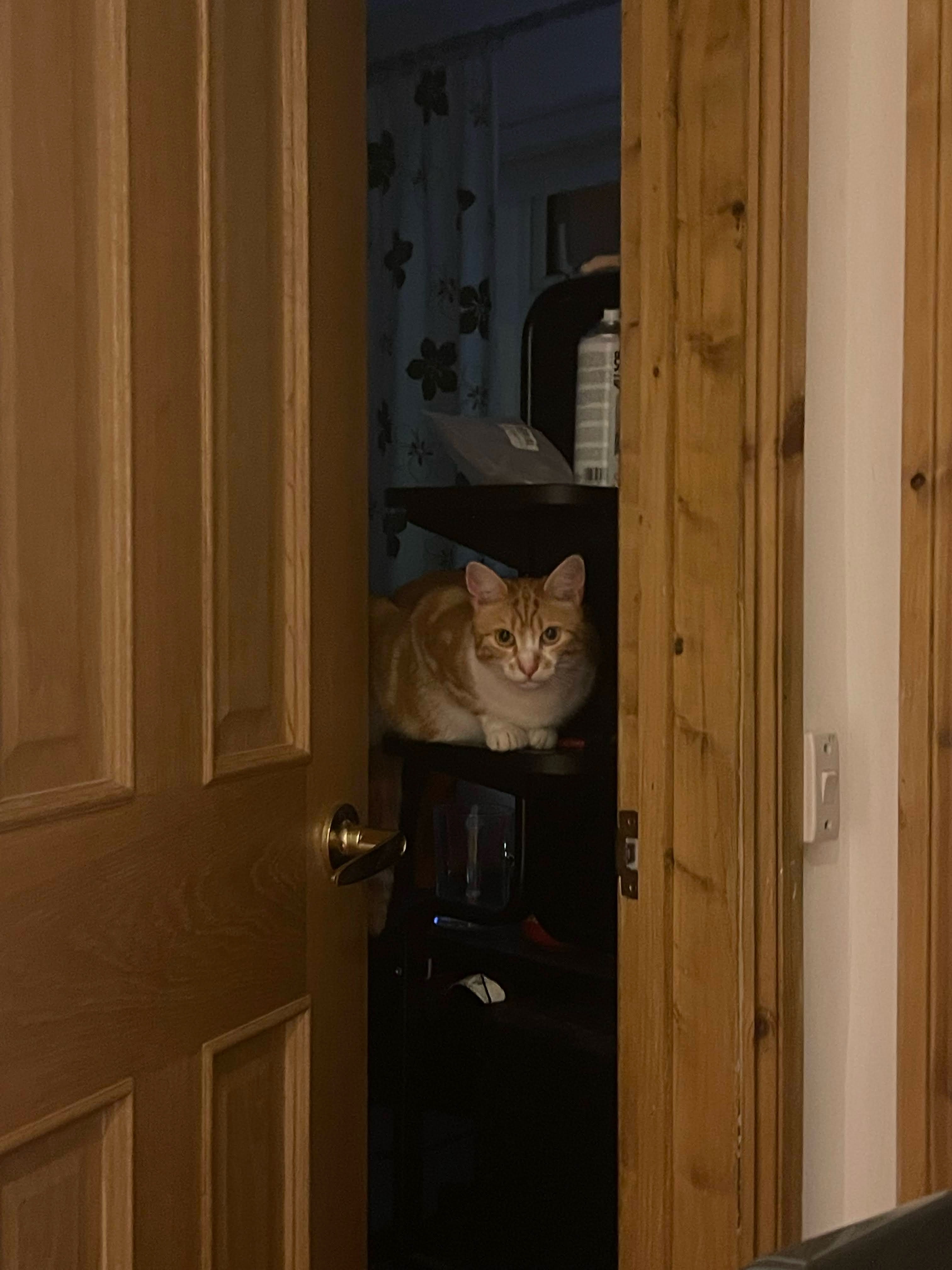image-8