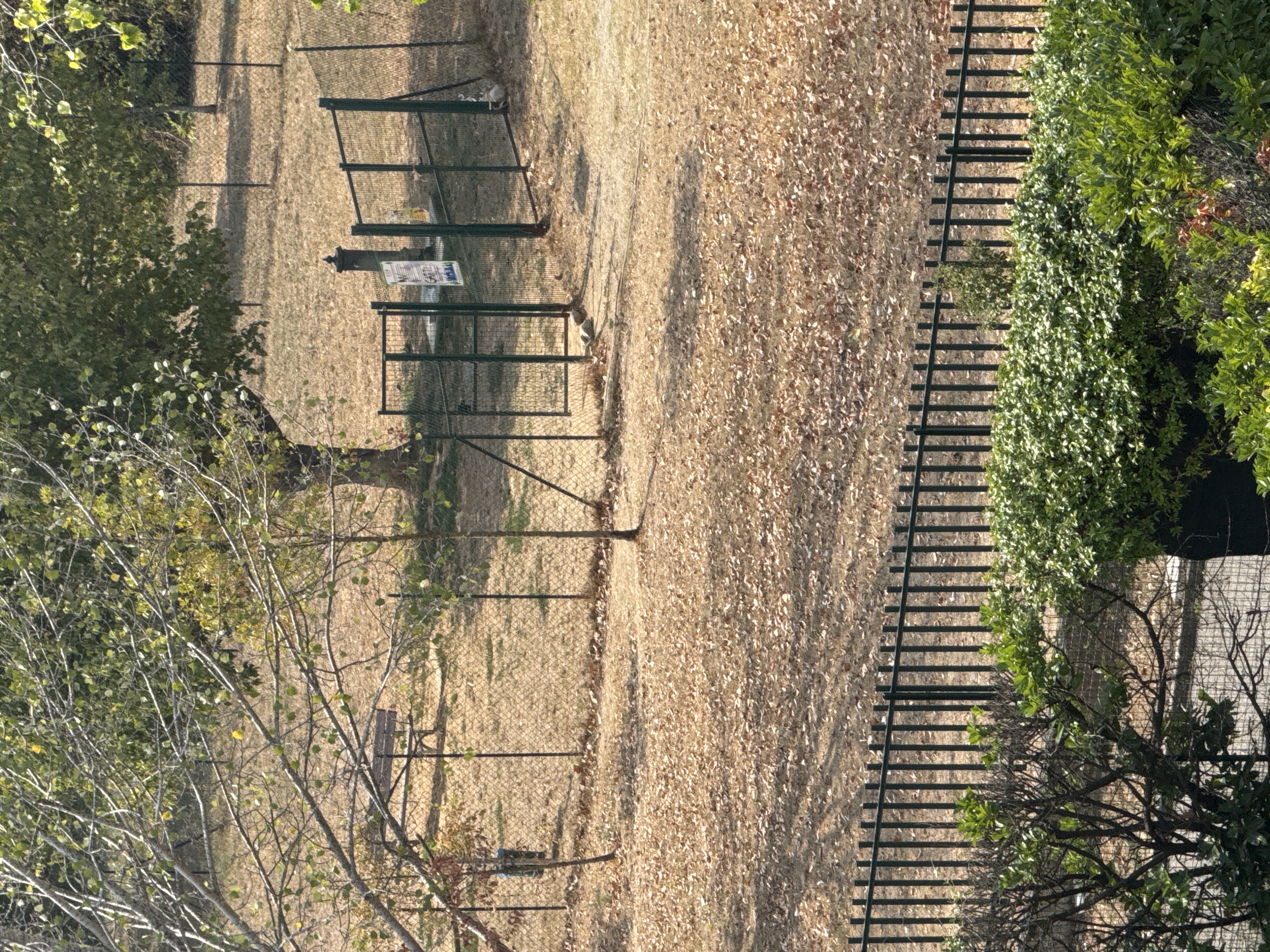 image-17