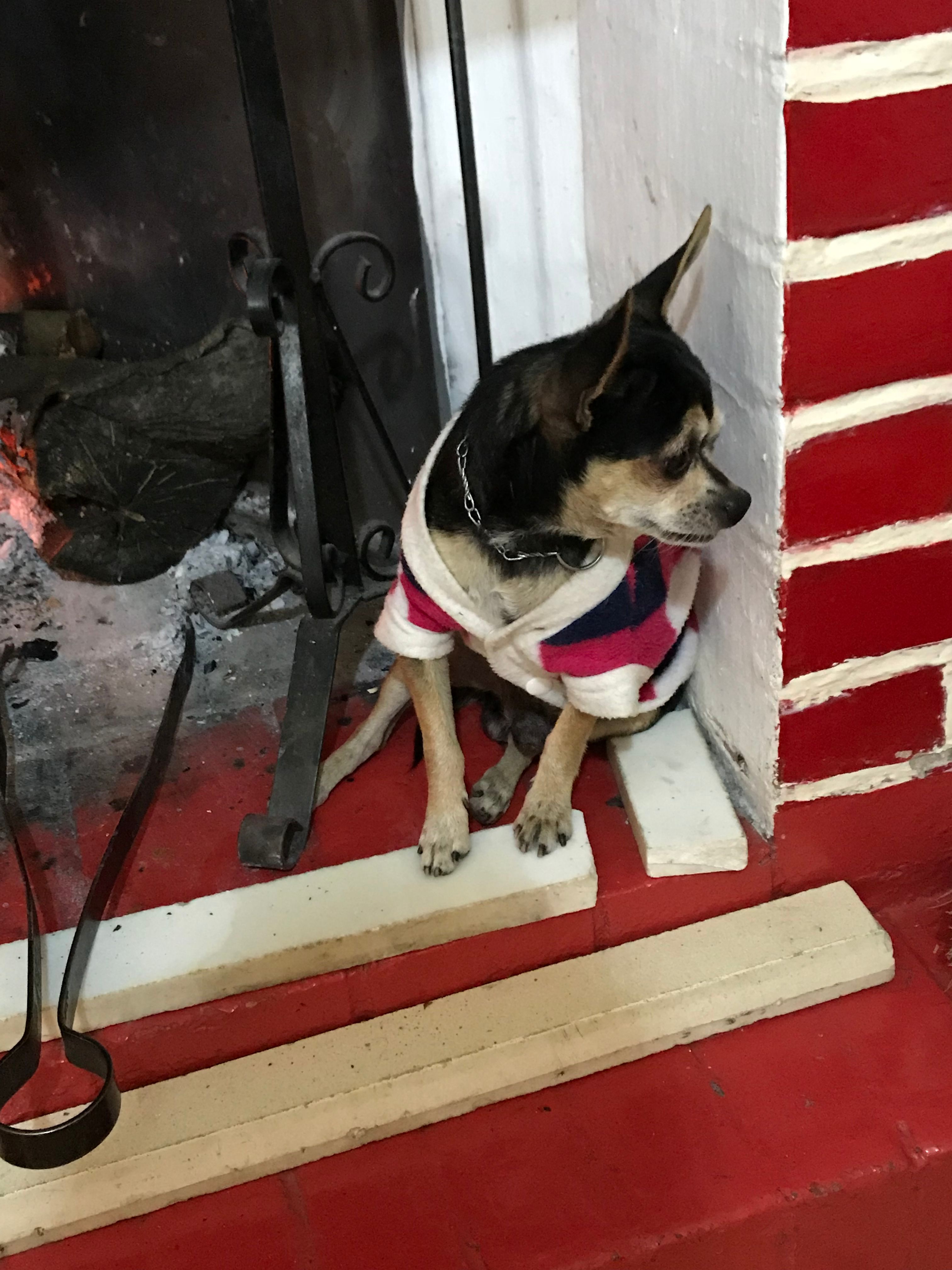 image-10