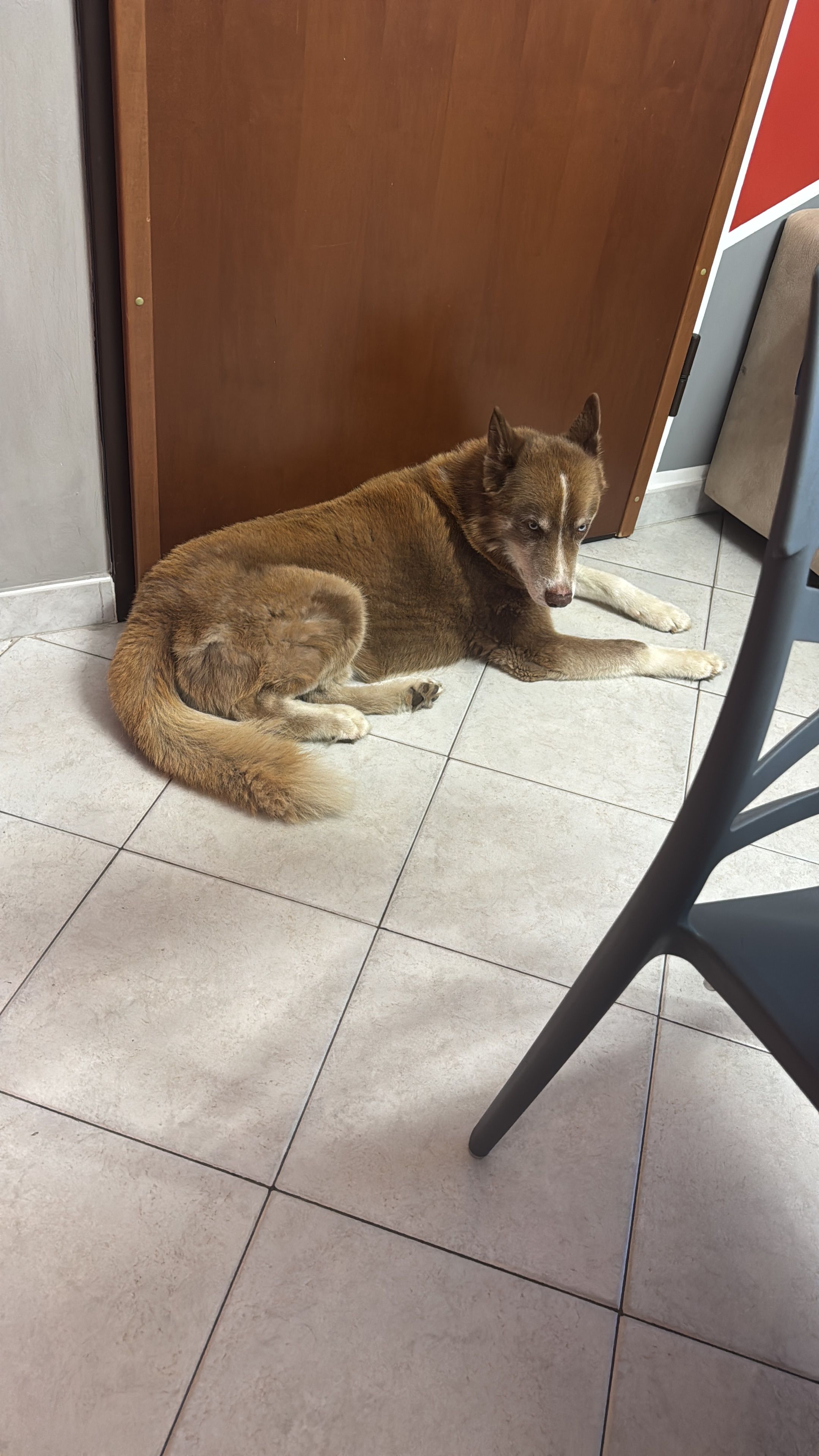image-14