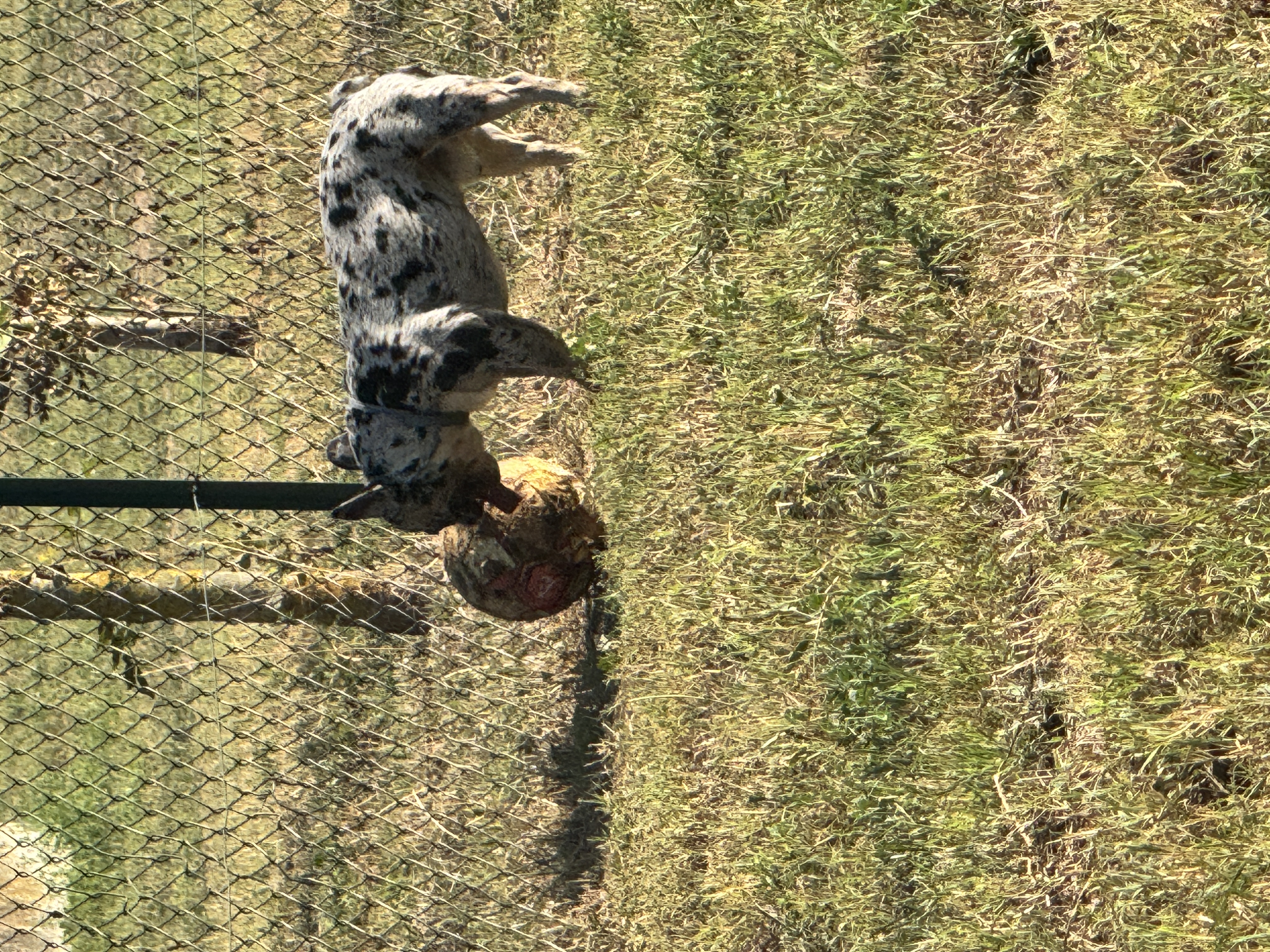 image-6