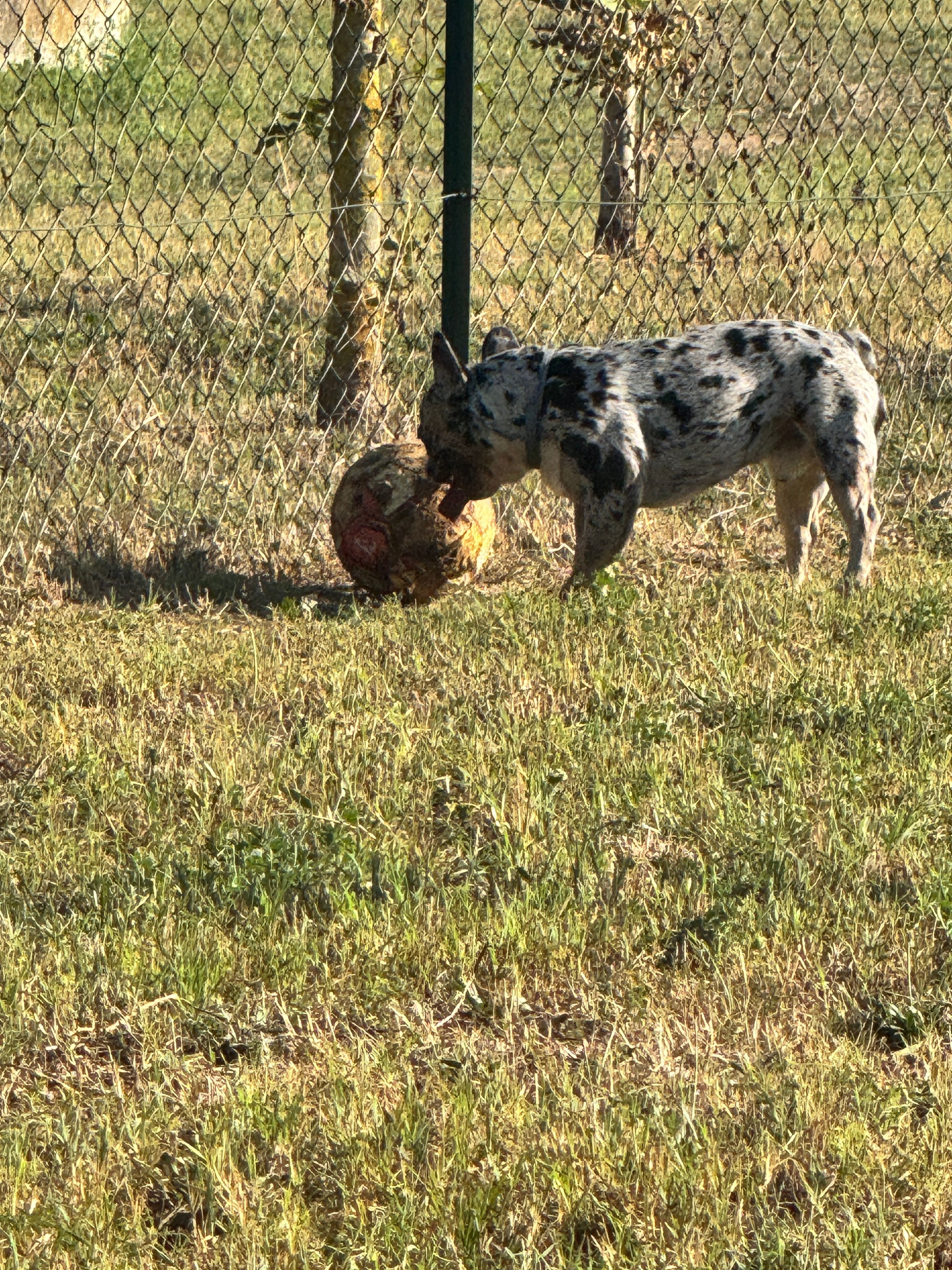 image-6