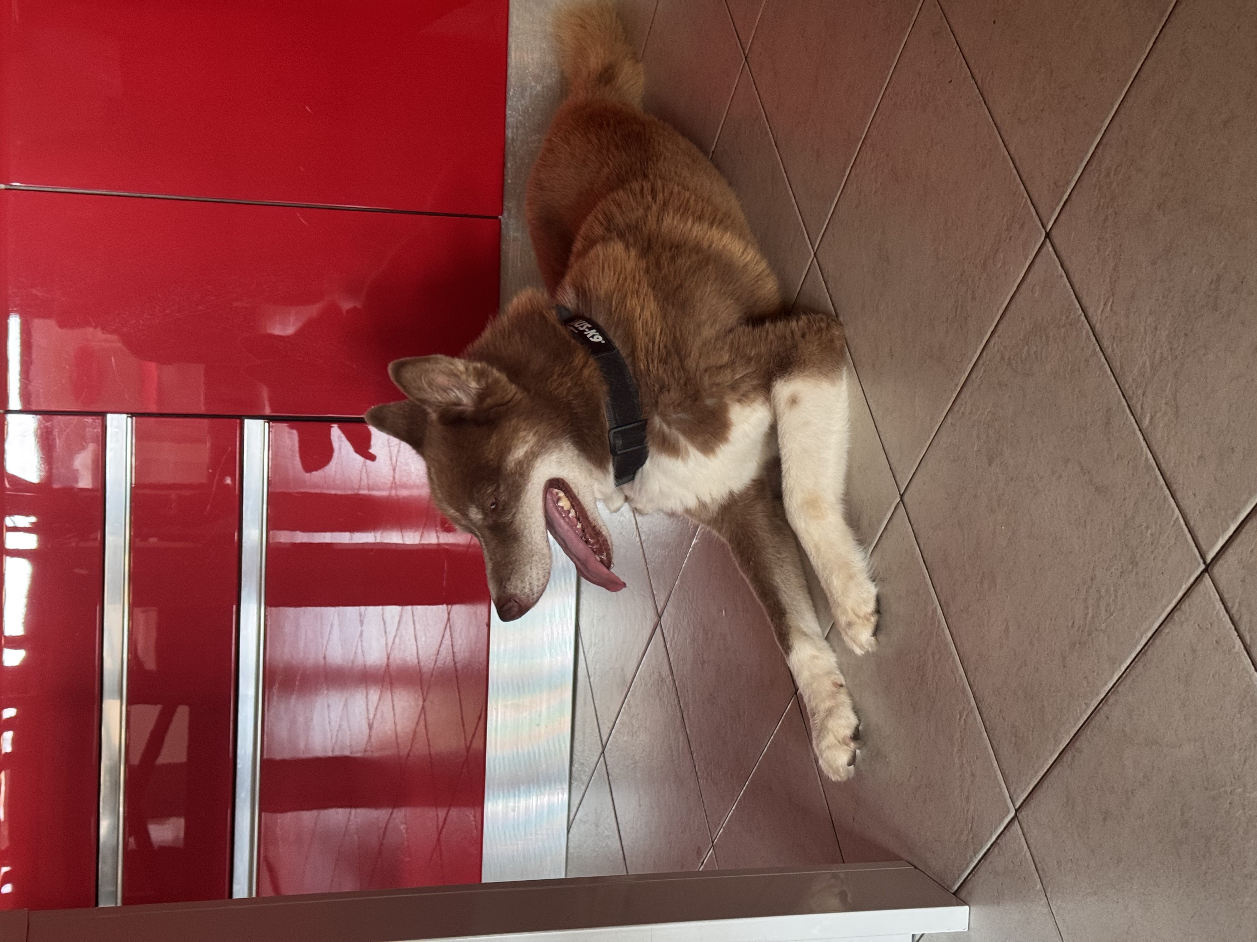 image-11