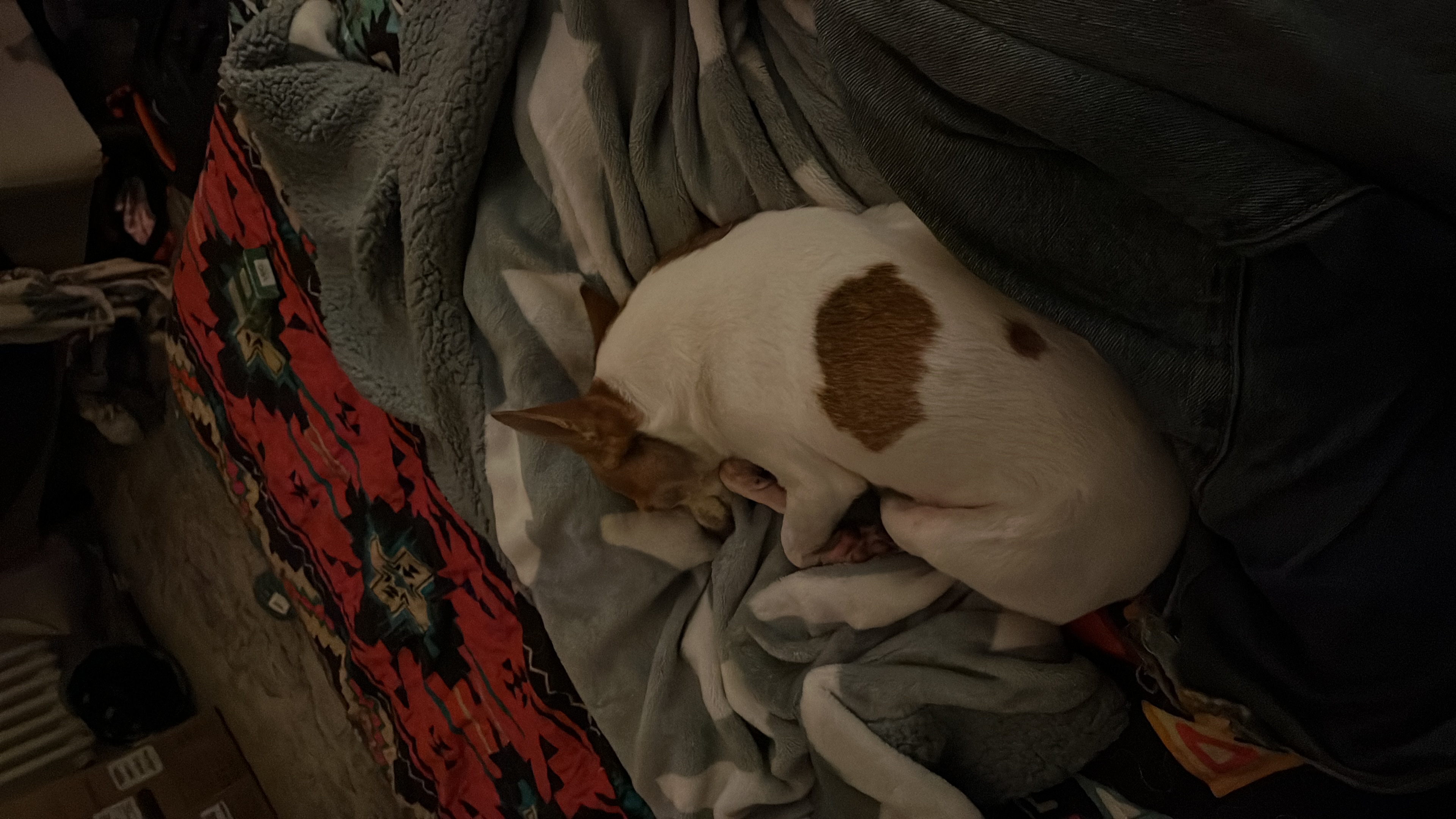 image-9