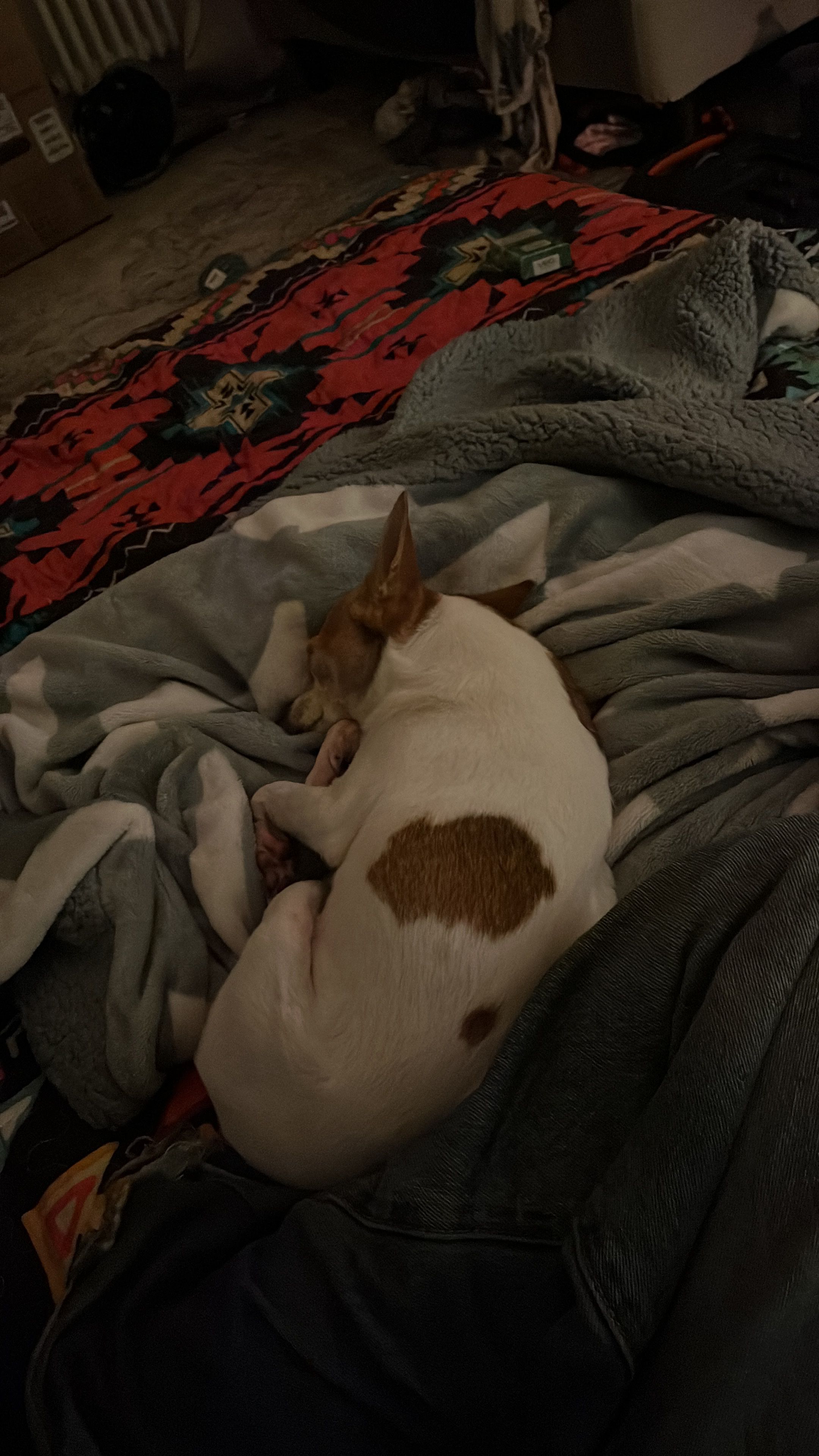 image-9
