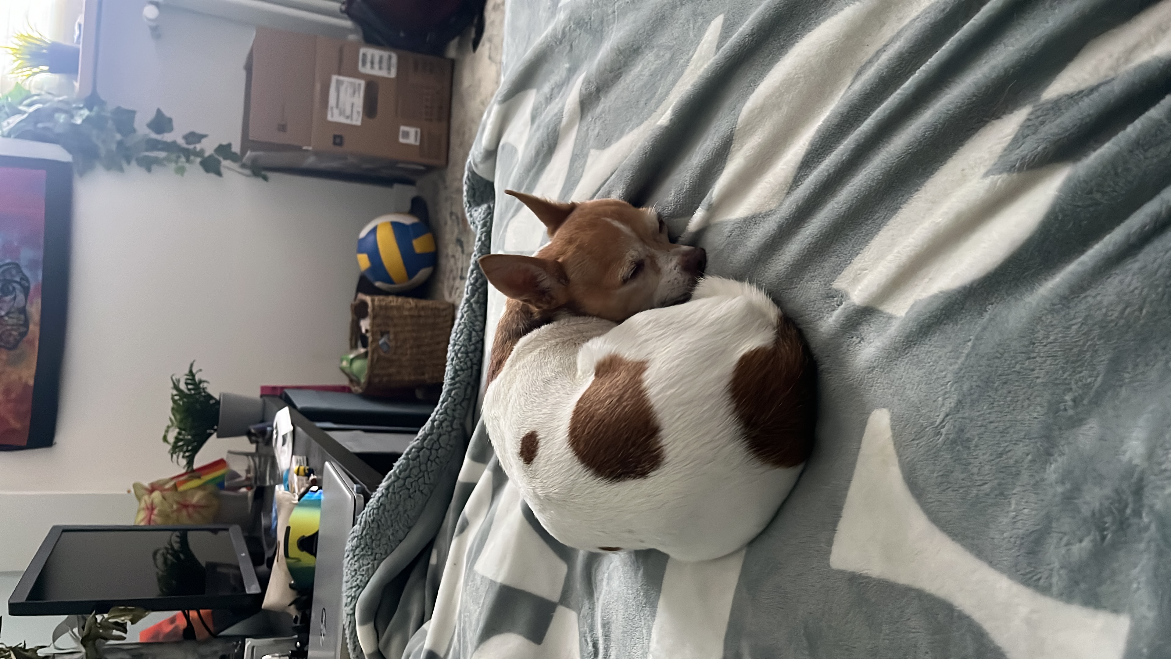 image-10