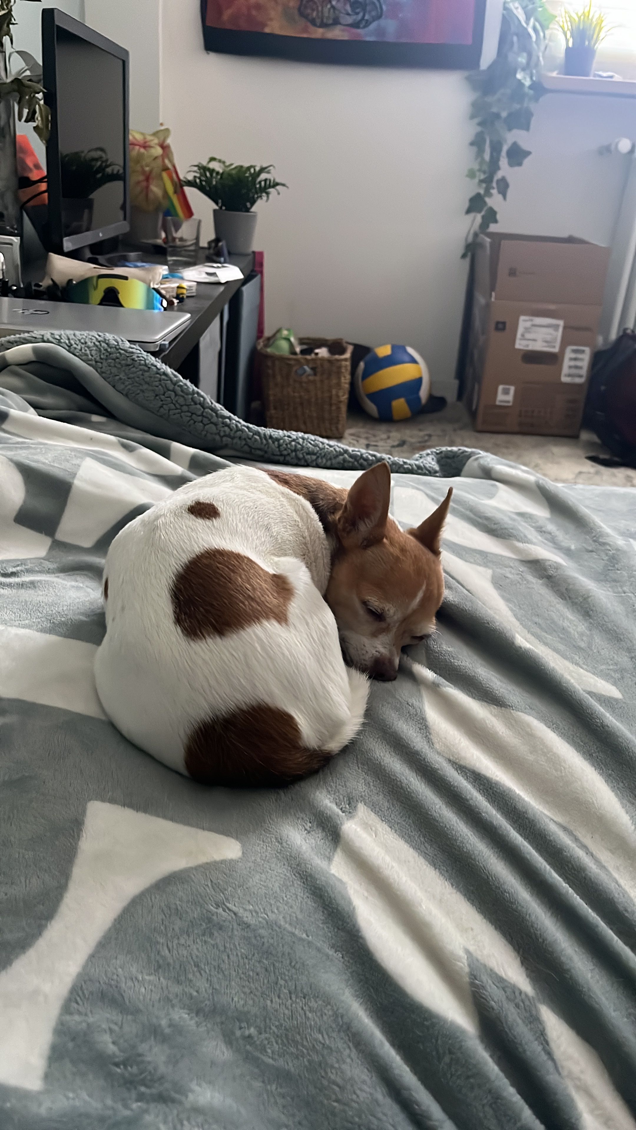 image-10
