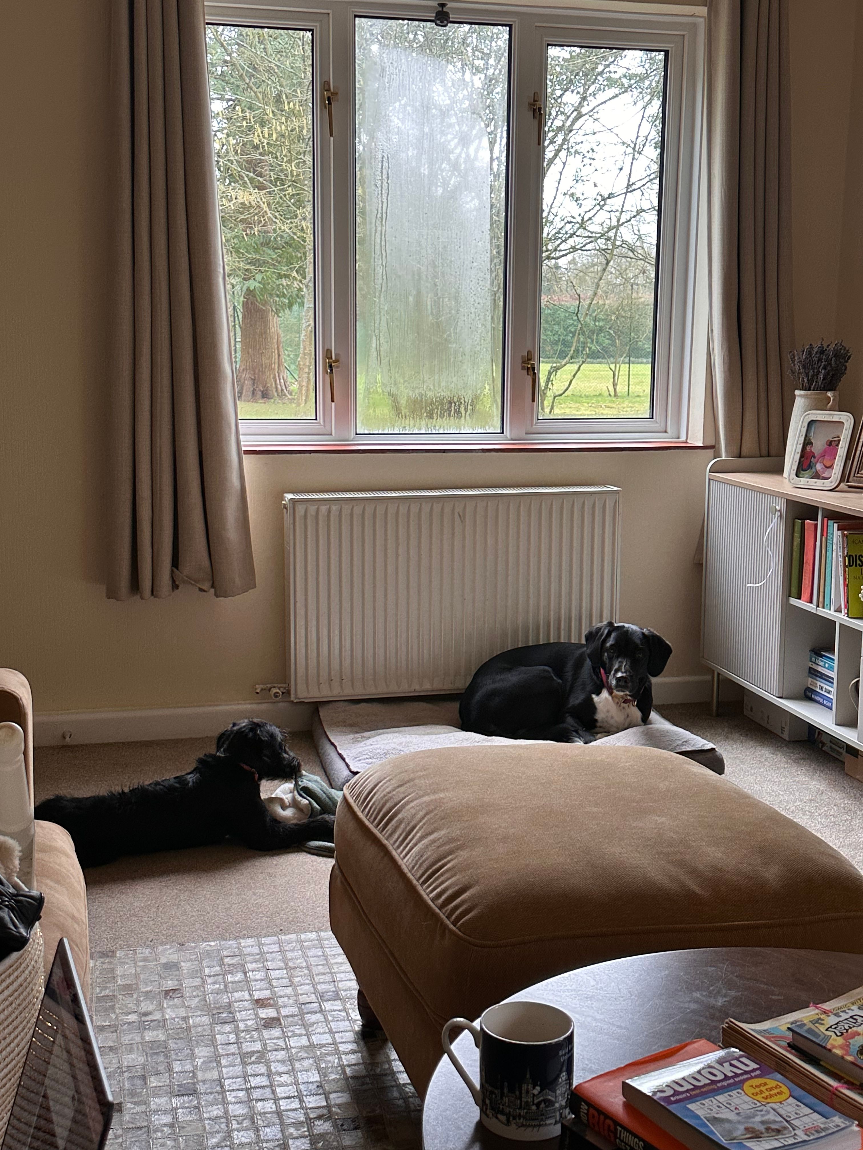 image-32