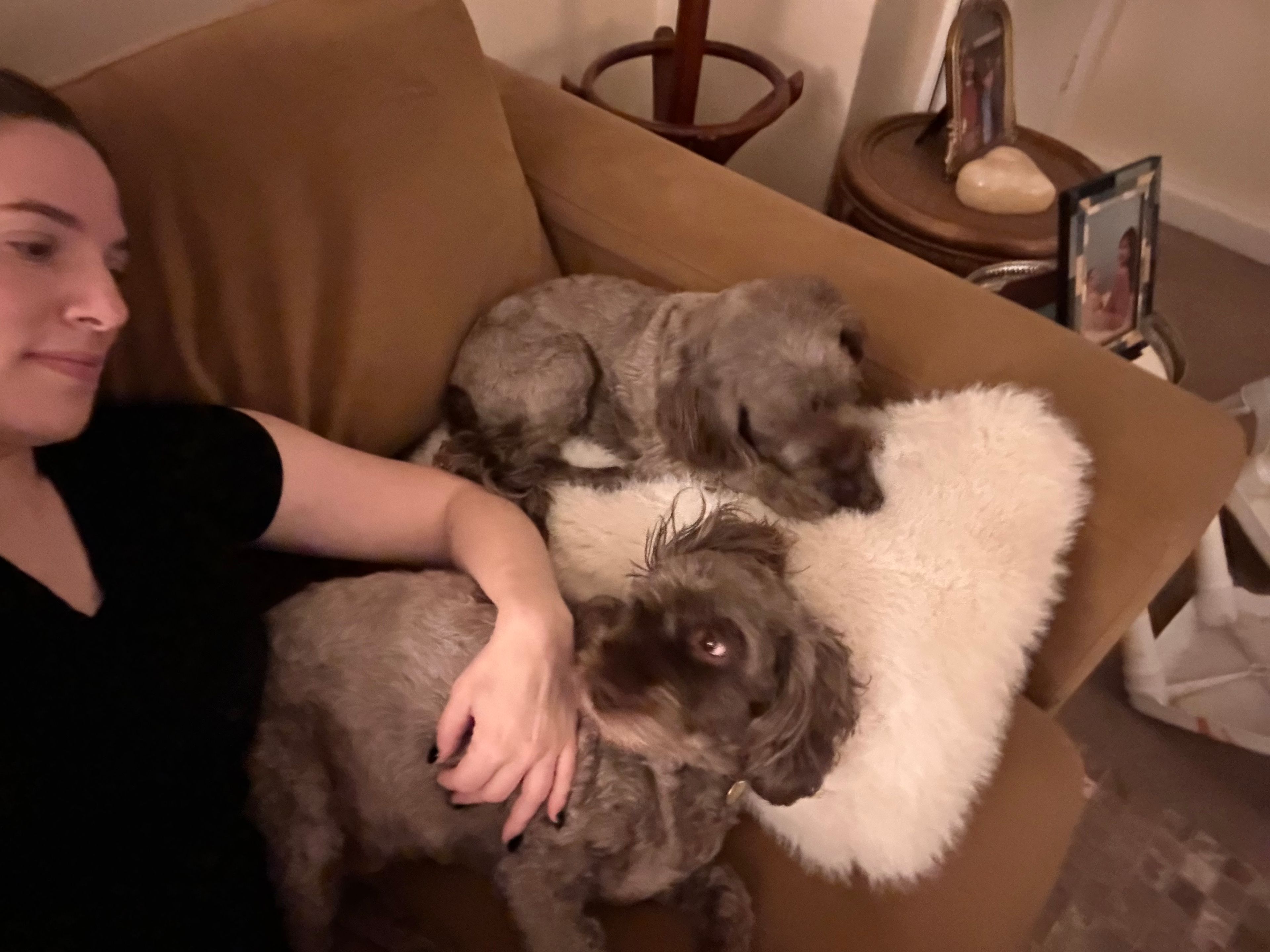 image-16