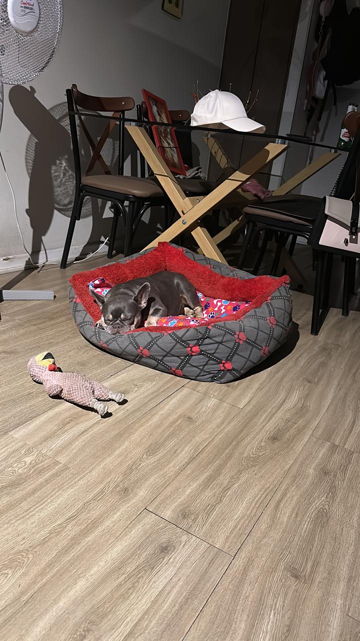 image-5