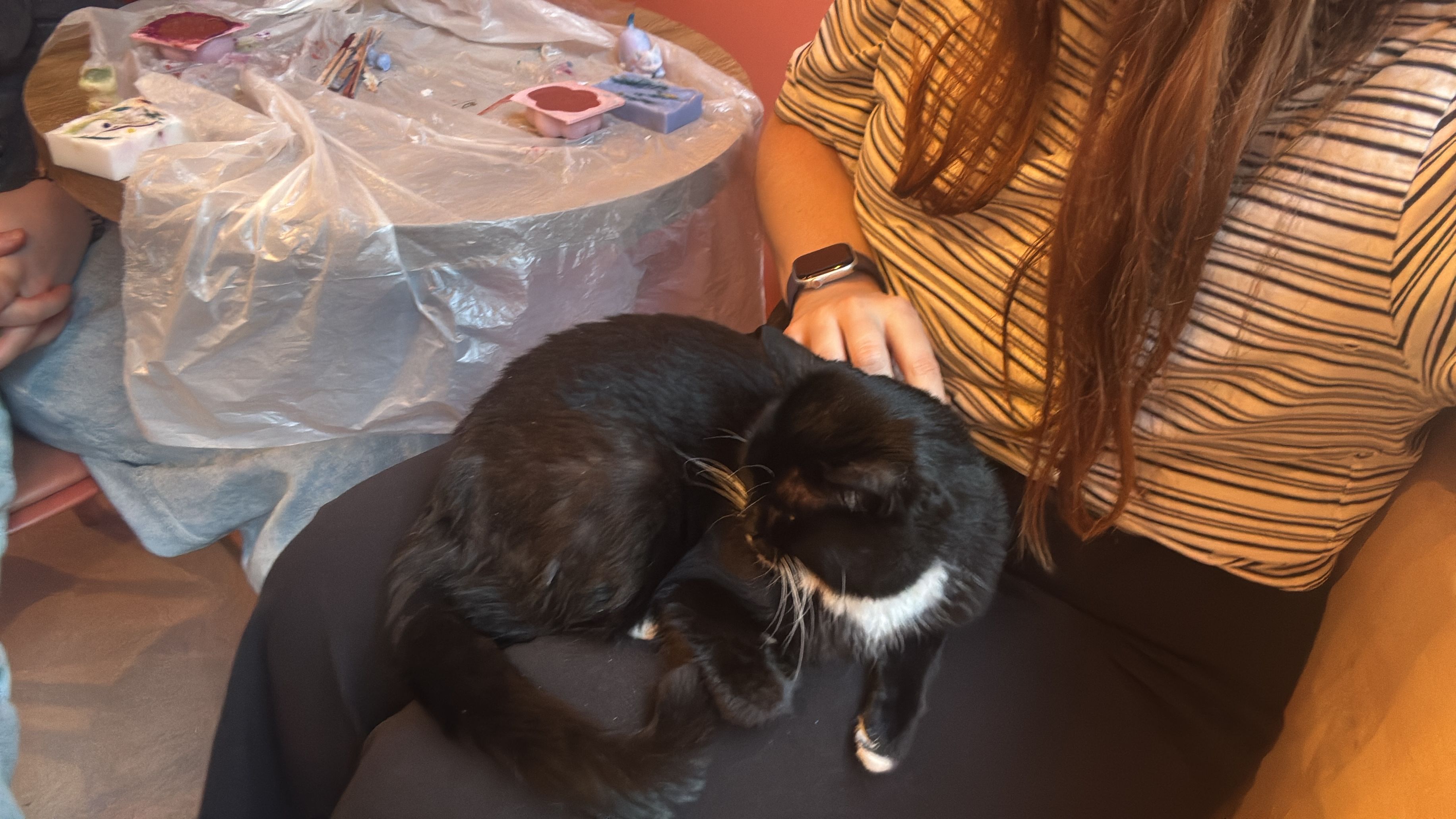 image-8