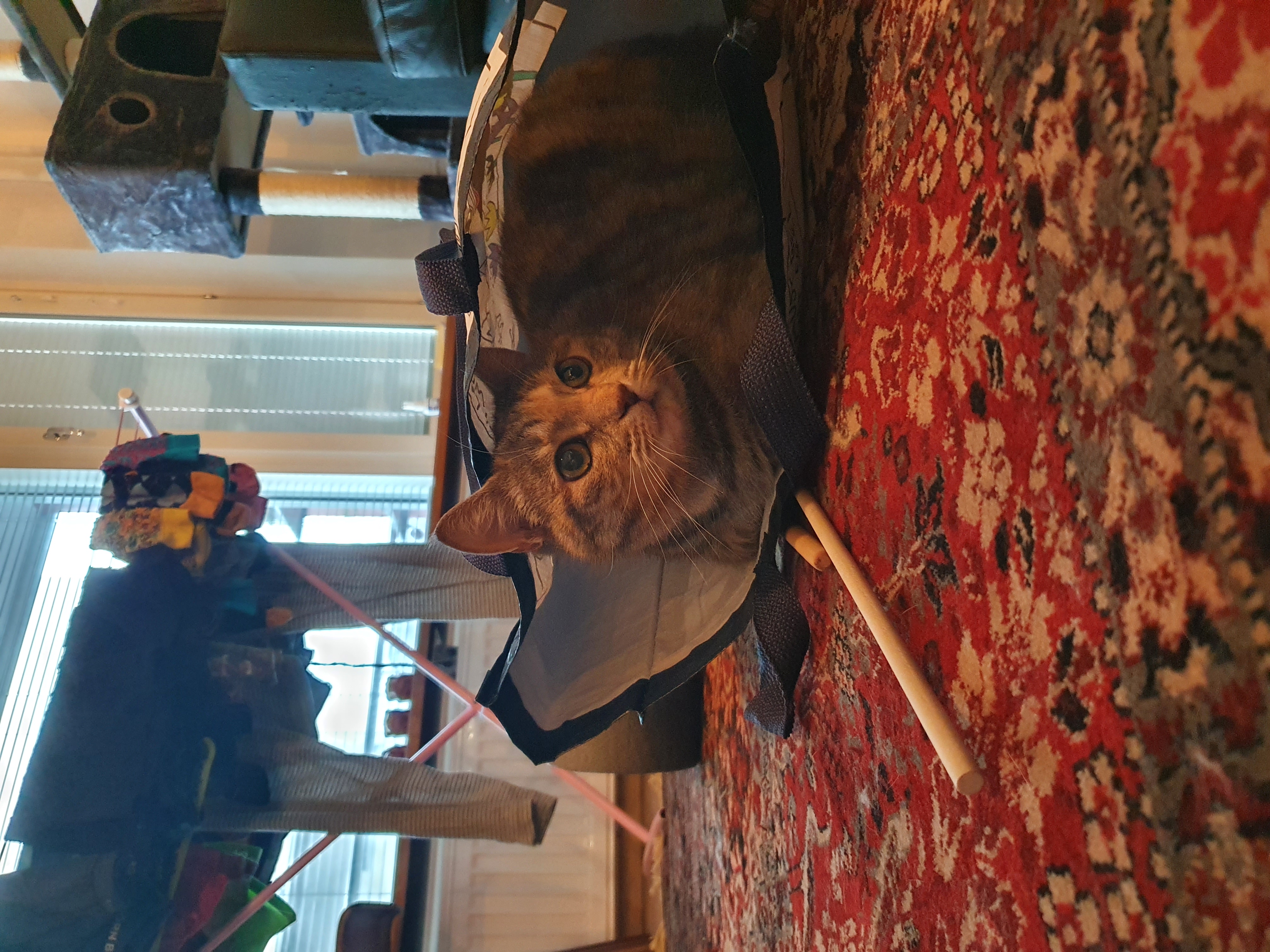 image-8