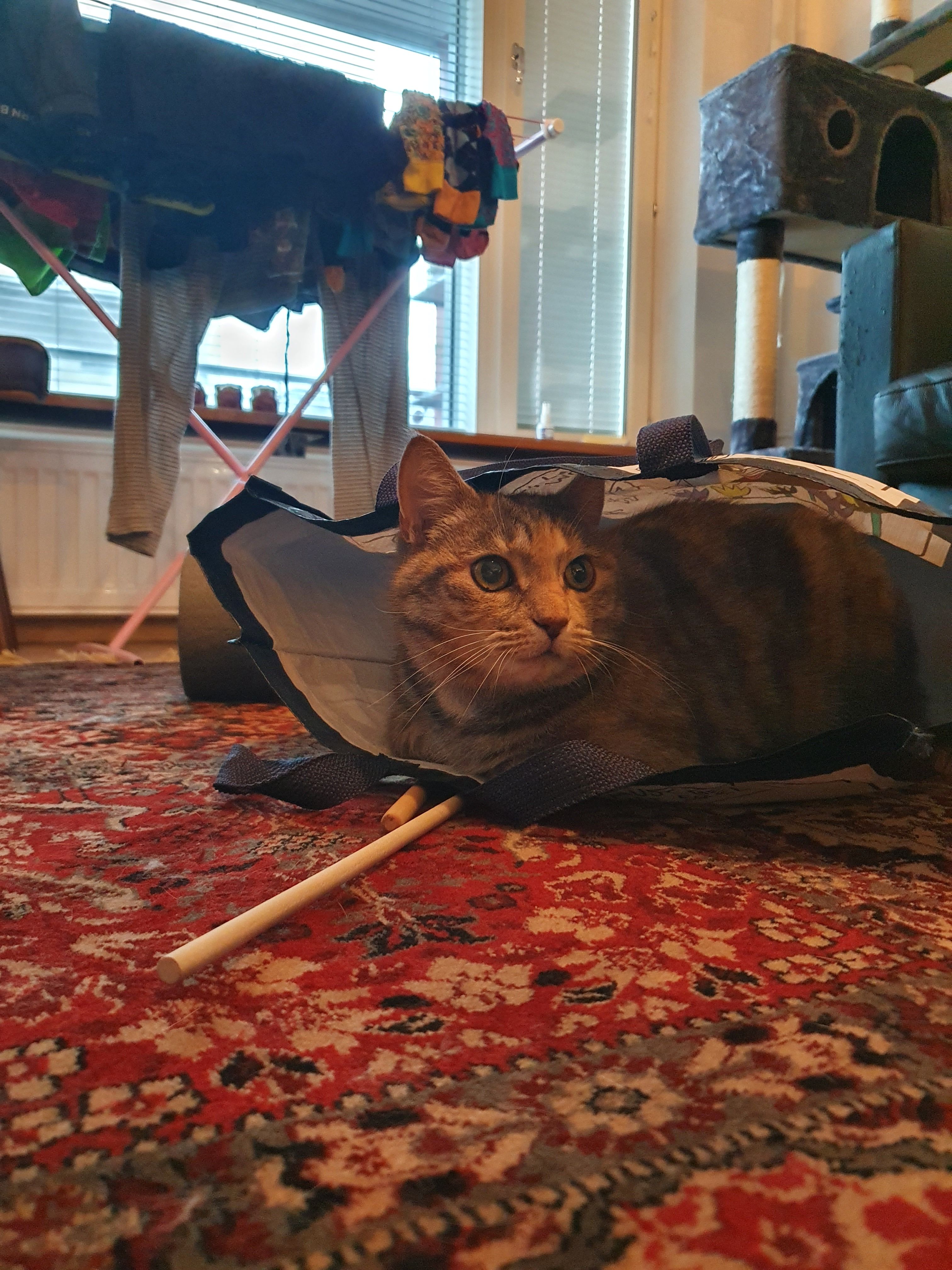 image-8