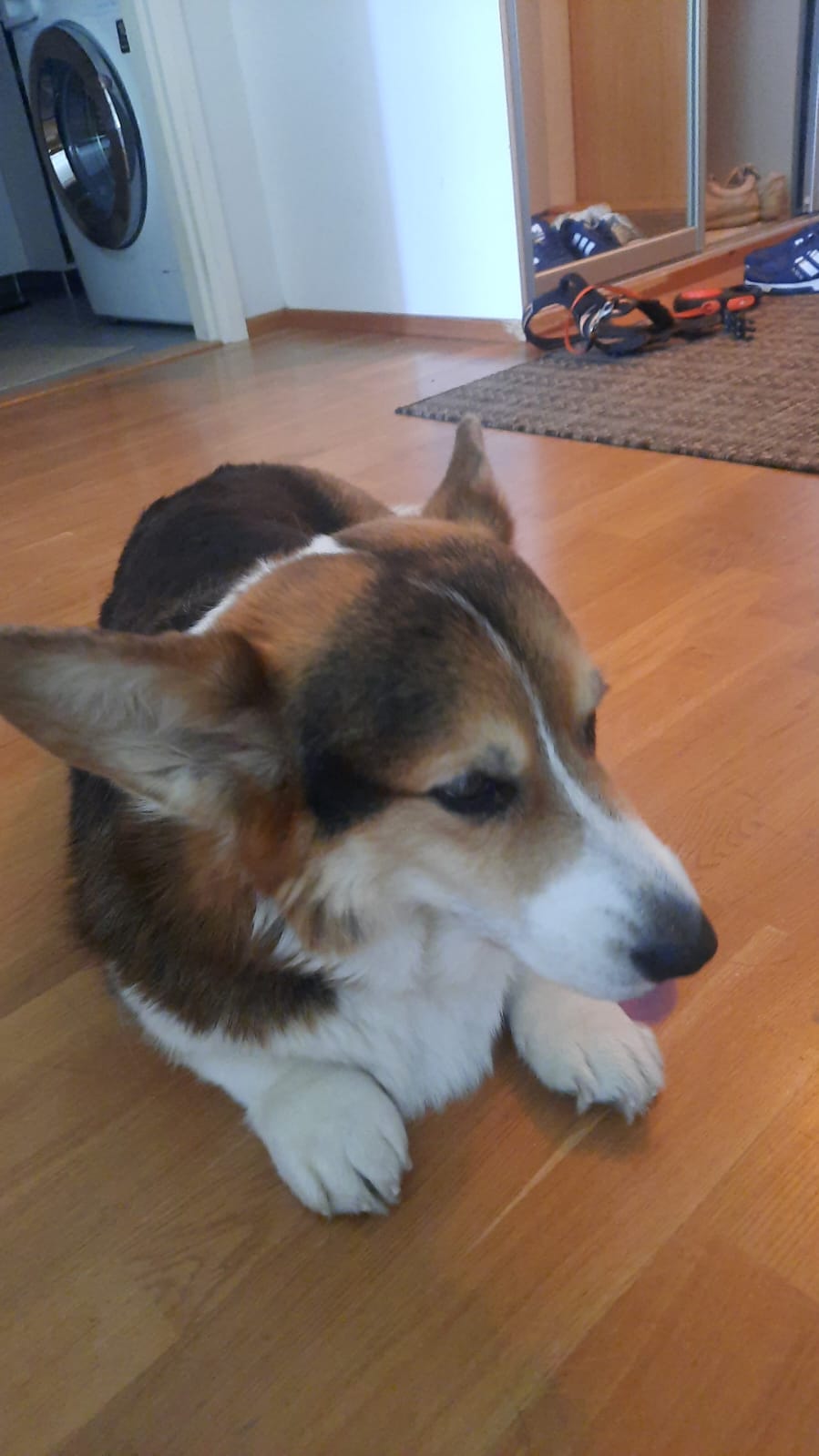 image-6