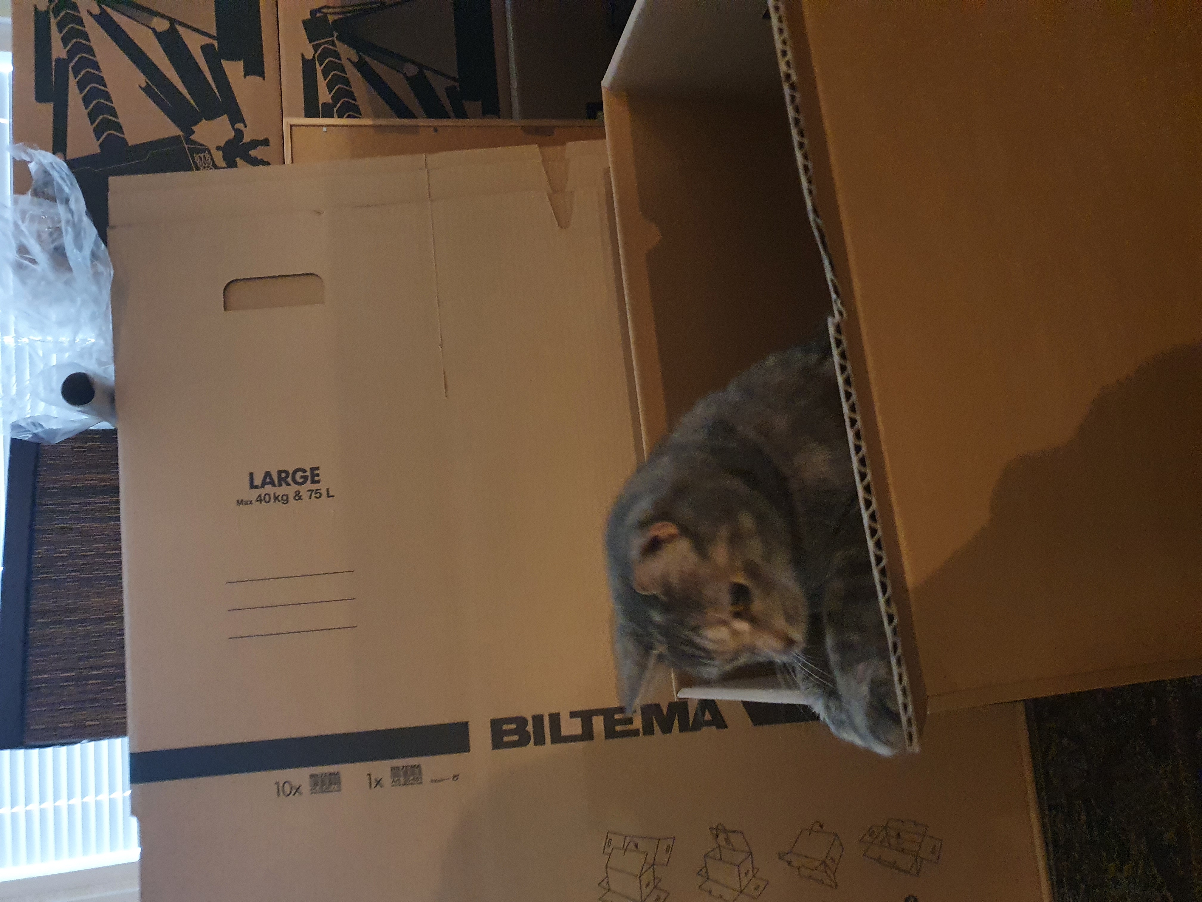 image-9