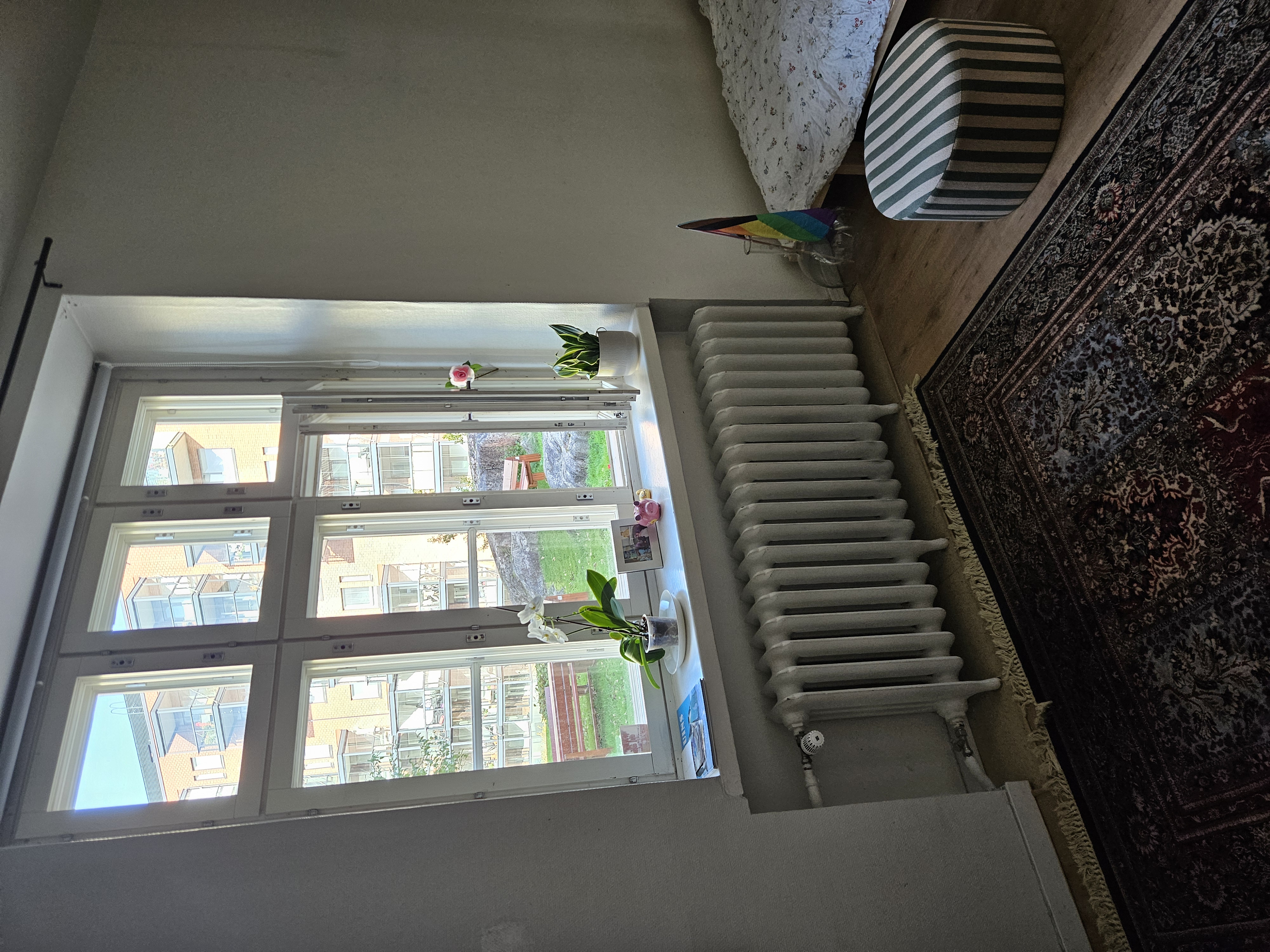 image-16