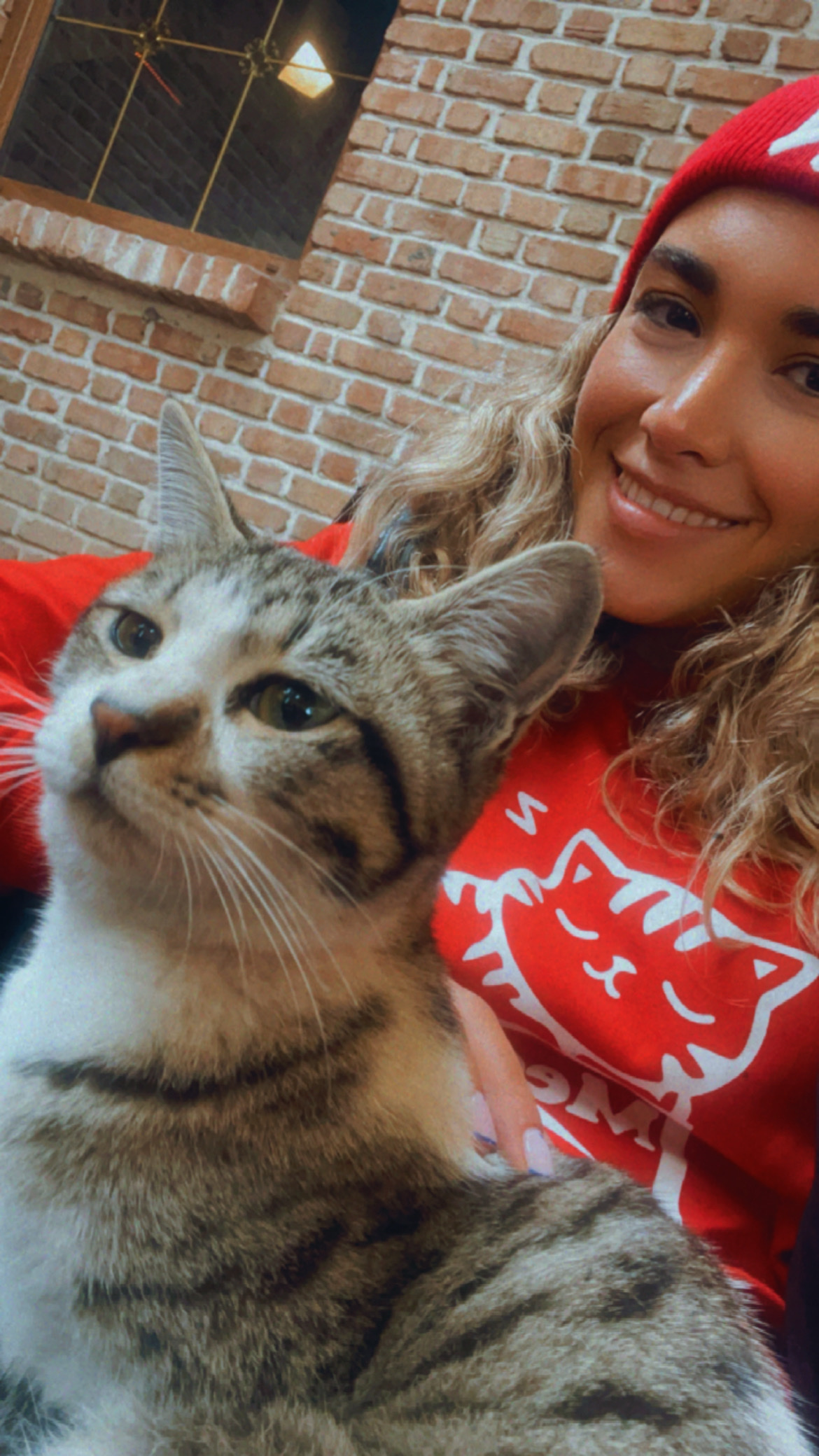 image-2
