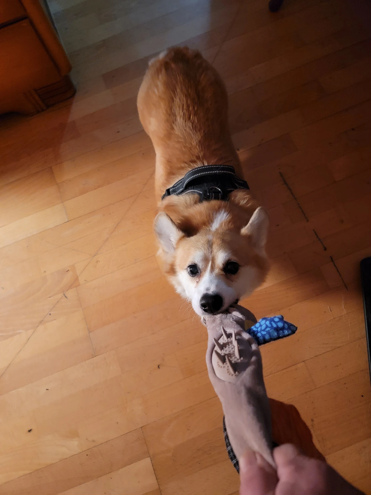 image-15