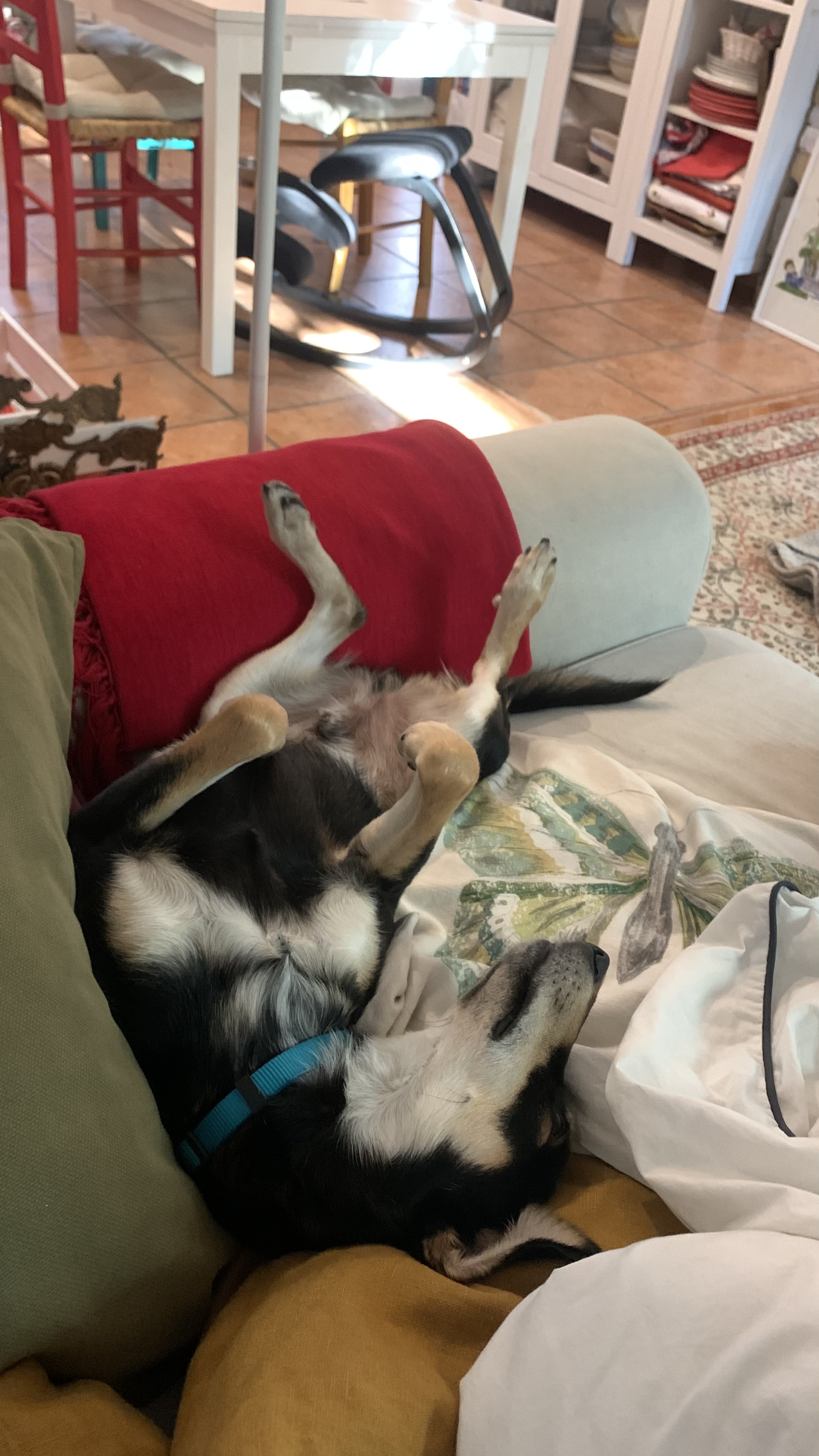 image-9