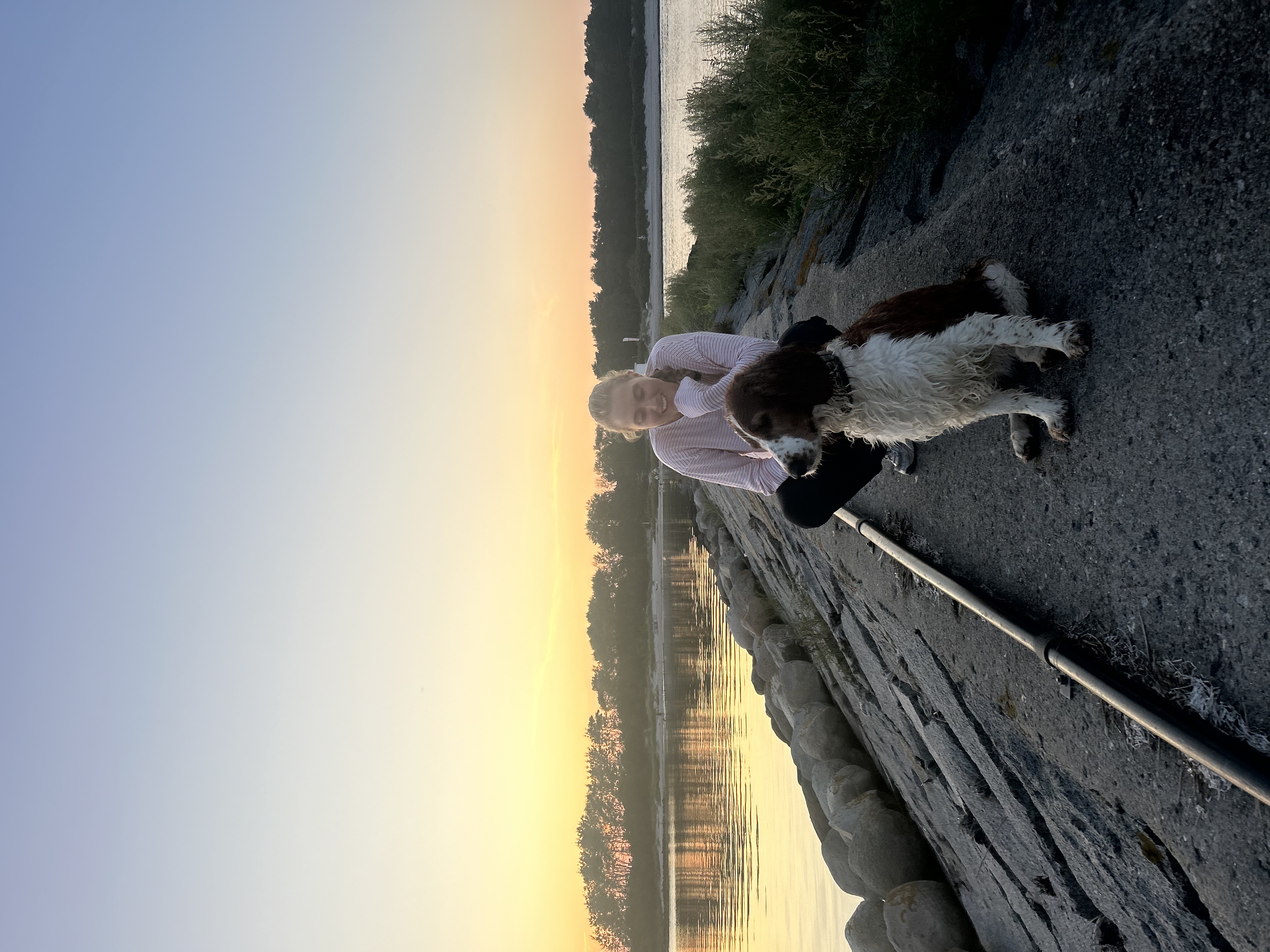 image-5
