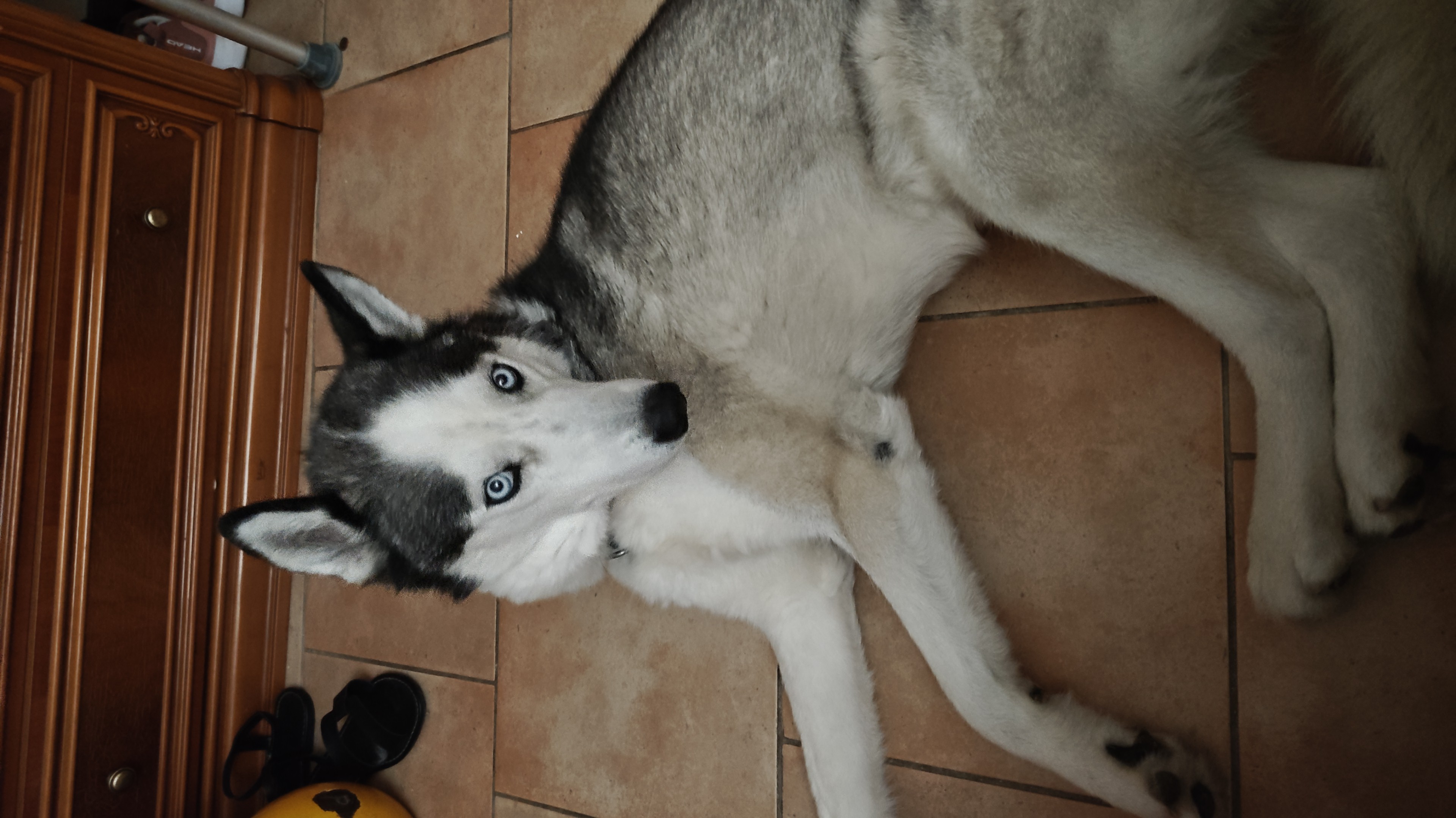 image-6