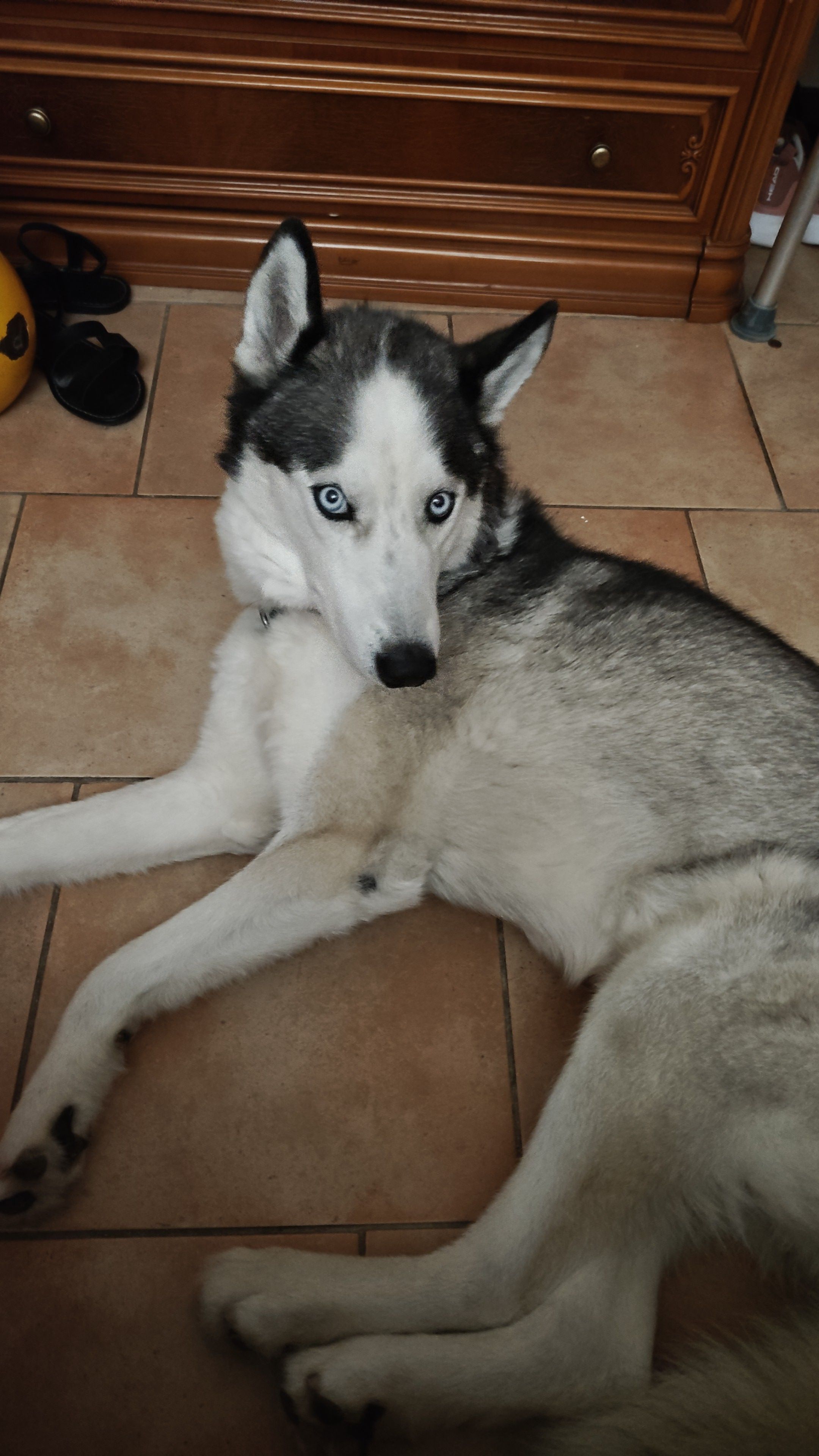 image-6