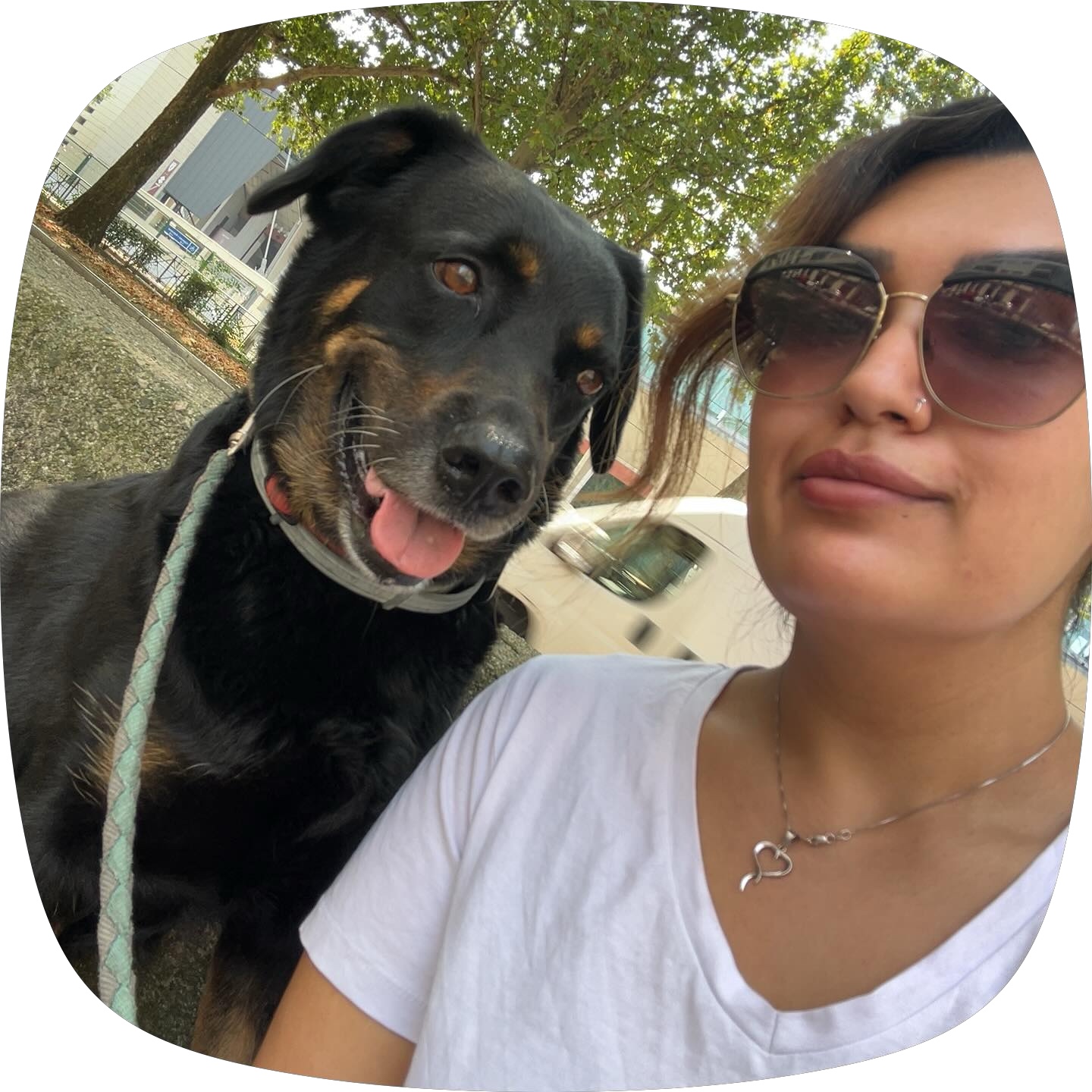 image-17