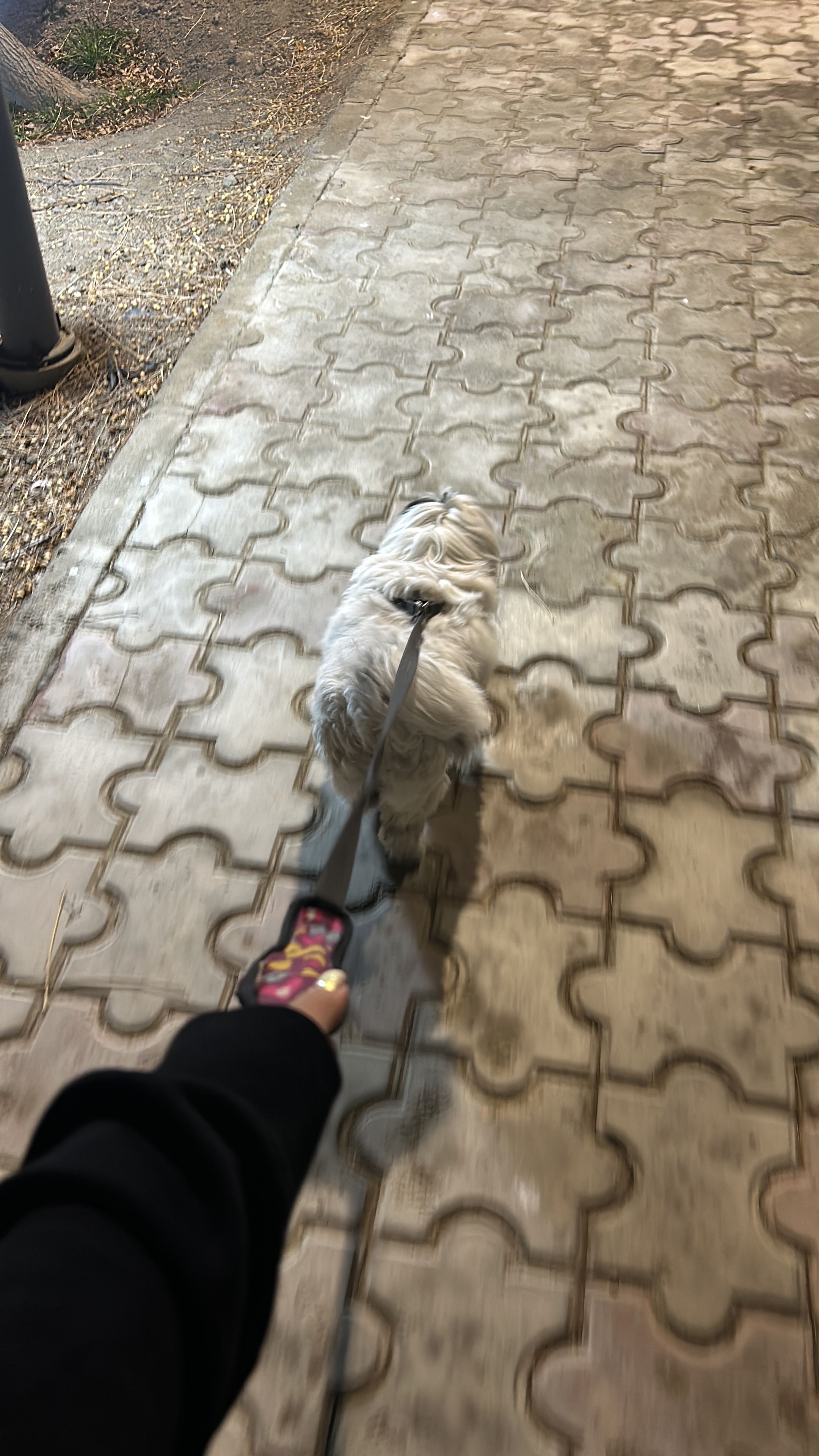 image-7