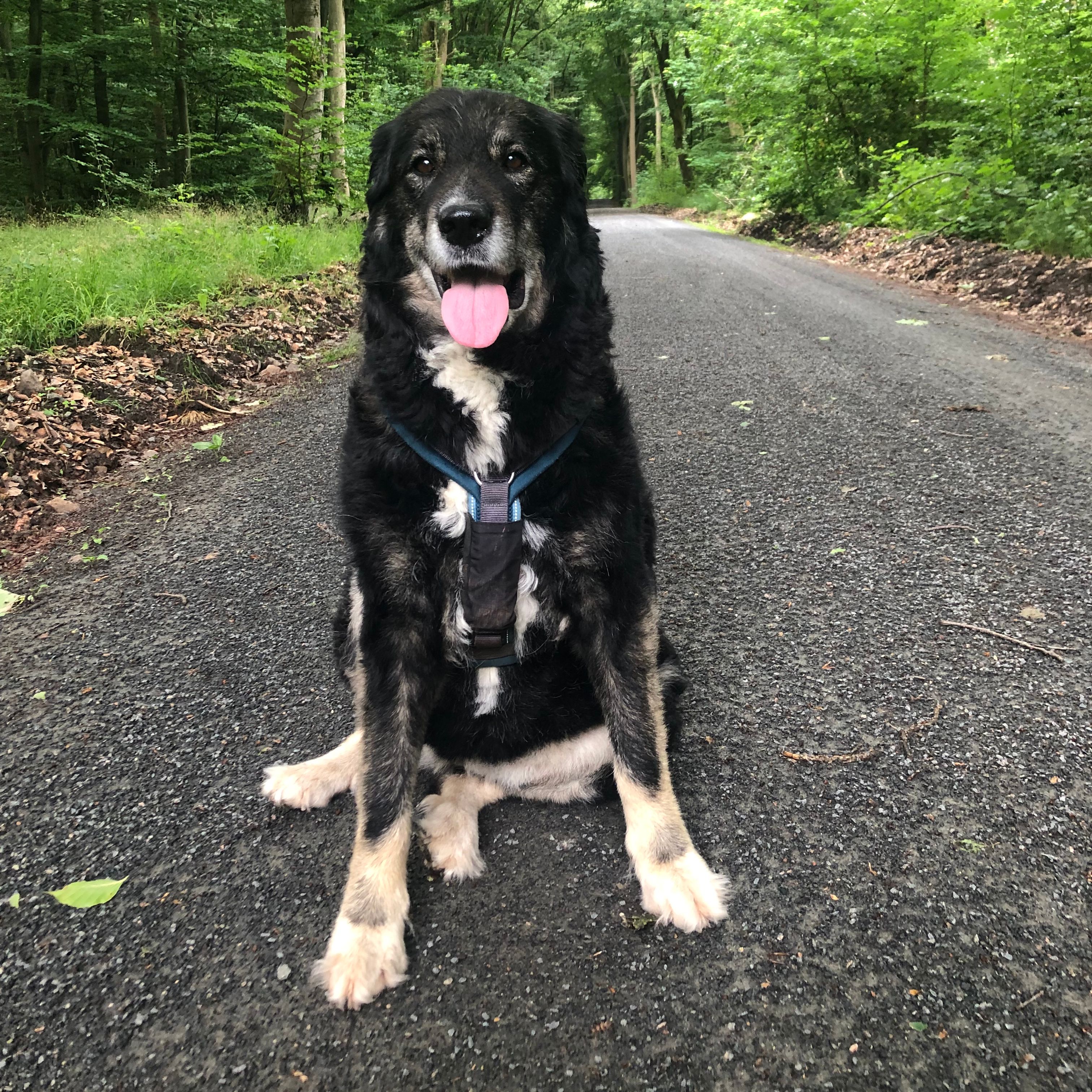Lena