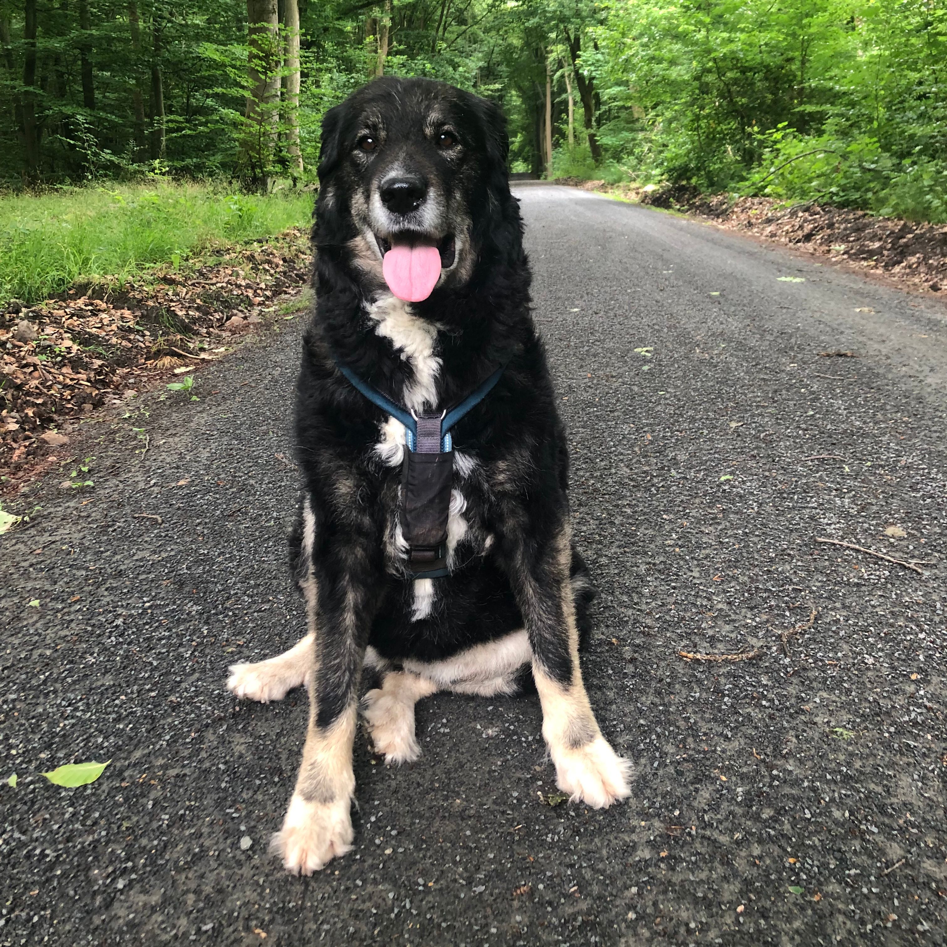 Lena