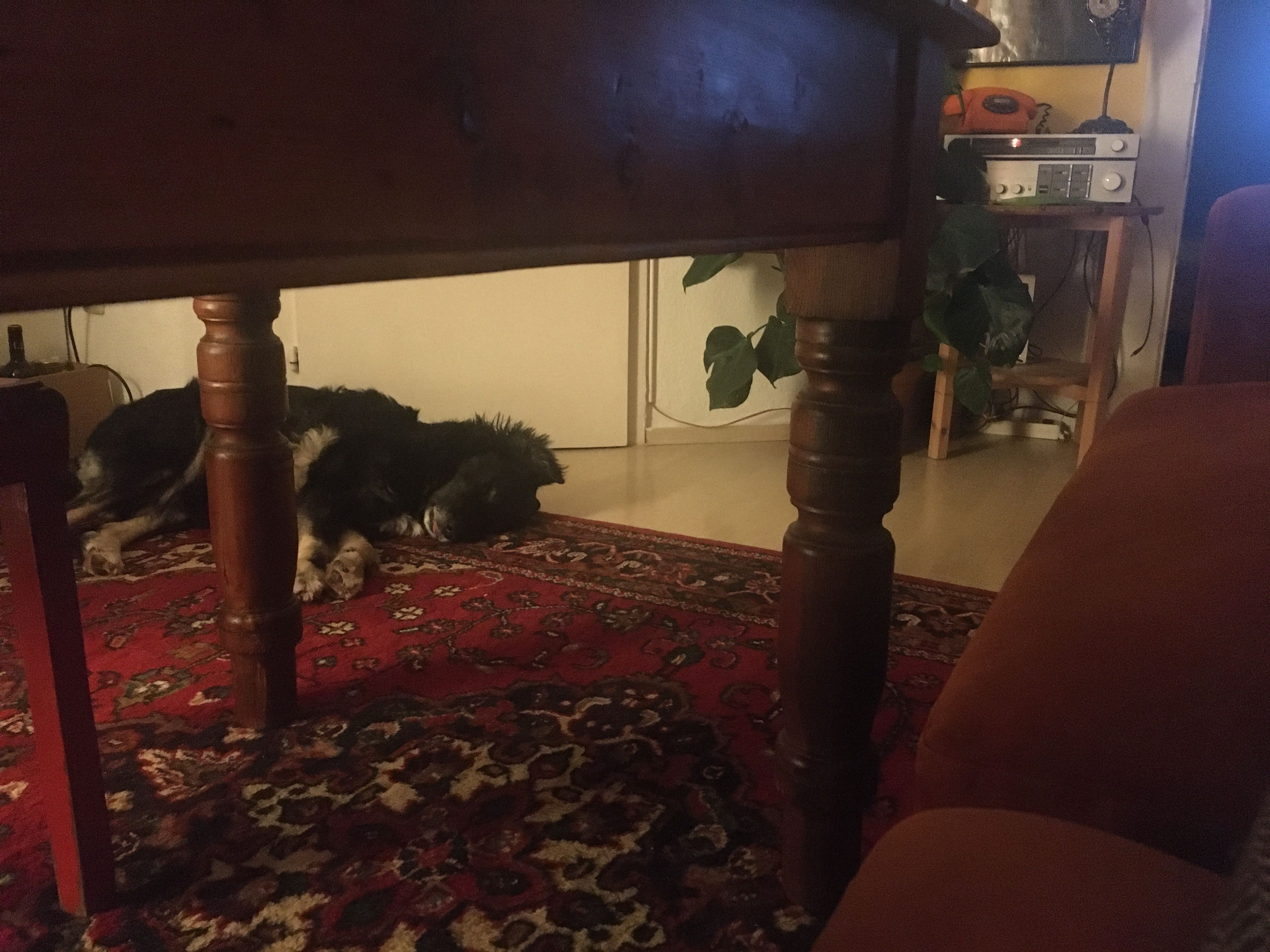 image-9